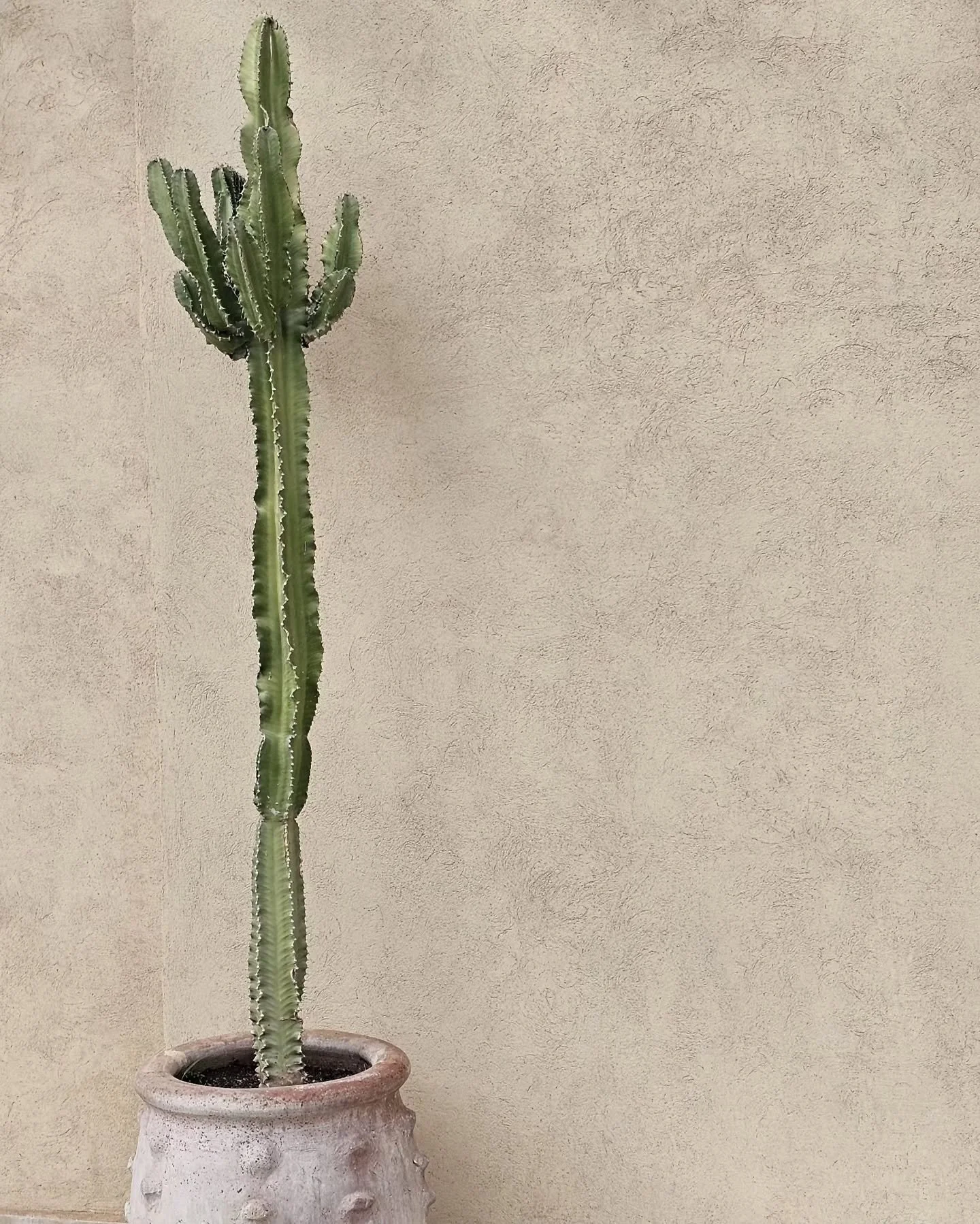 Le d&eacute;but de notre toute premi&egrave;re retraite yoga &amp; cycling &agrave; Marrakech avec @elevatecyclemarrakech 🧡 

#marrakech #yogaretreat #cycling #indoorcycling #coach #hajimetribe #retraitedeyoga #yoga #morroco