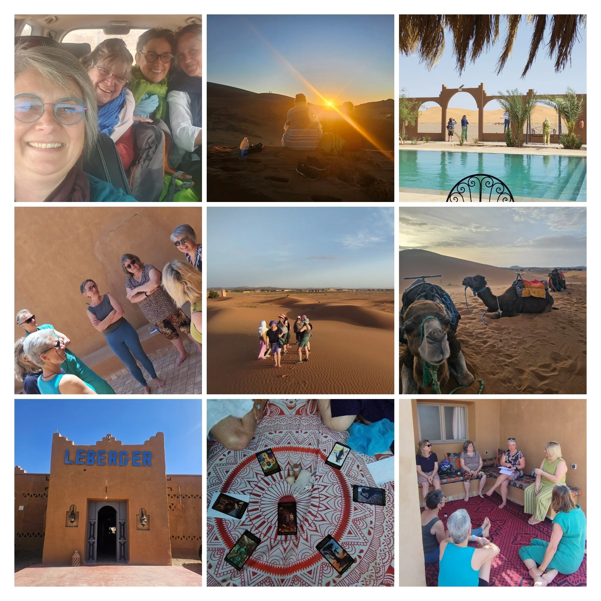 20250404_091551-COLLAGE.jpg