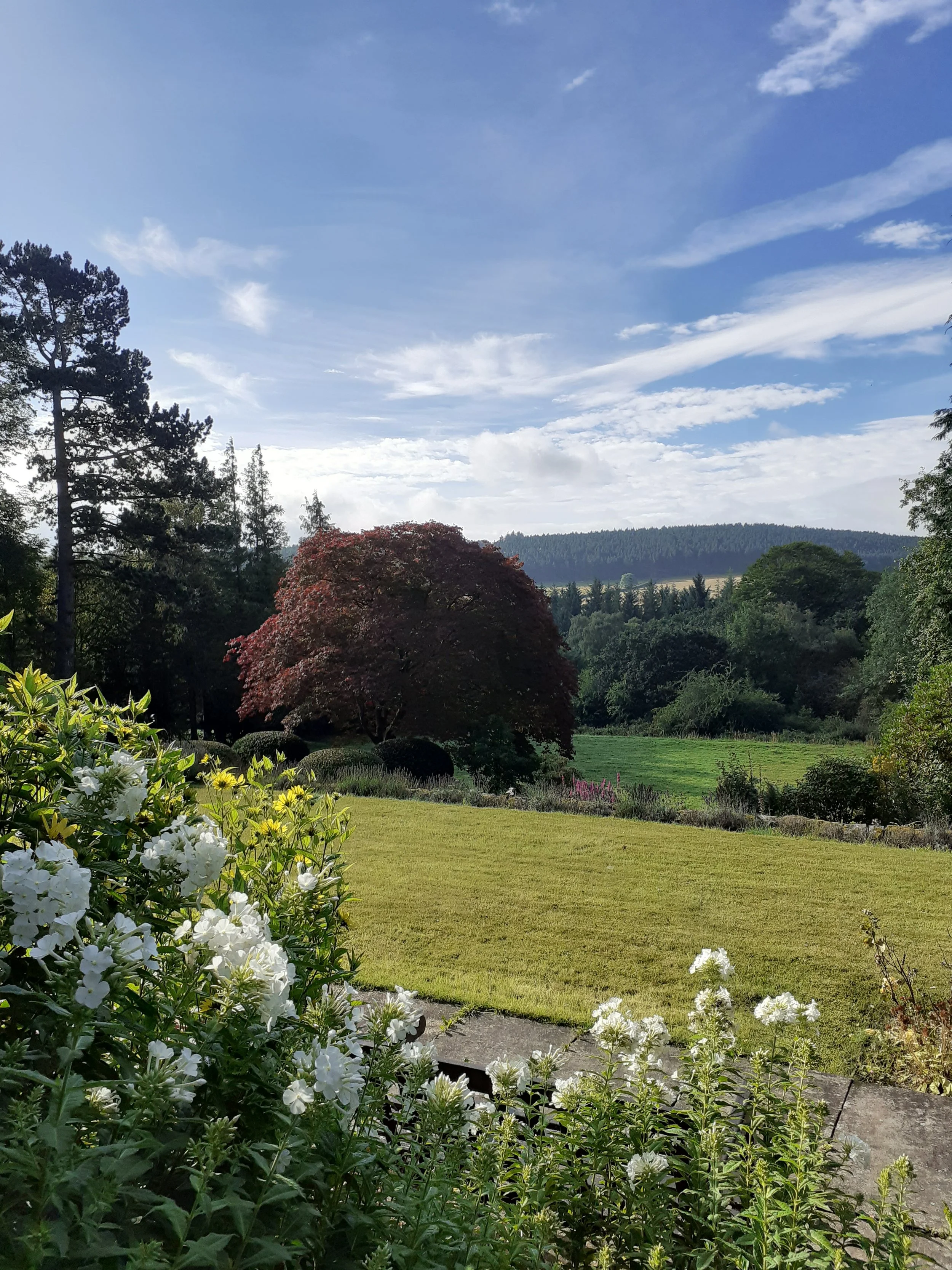 20200818_091117 (002).jpg