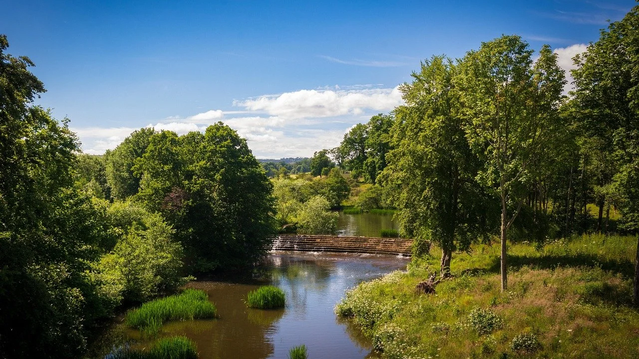 Image by Ian Procter from Pixabay 7.jpg