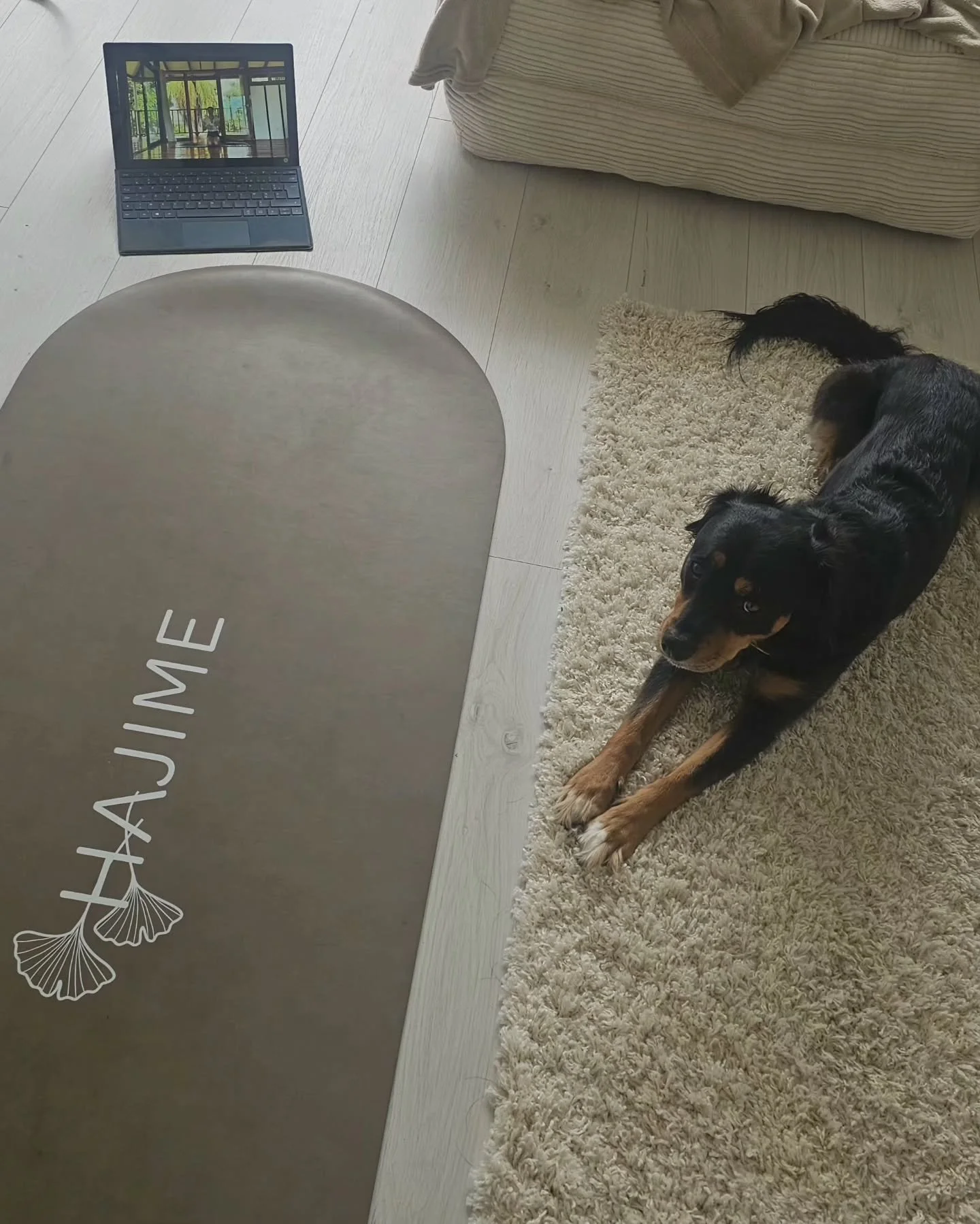 HAJIME Connect - n'importe o&ugrave; et n'importe quand 🤍

Mille mercis &agrave; ces belles yogis. 

Tu as 10 jours gratuits pour tester notre plateforme.
Lien dans la bio.