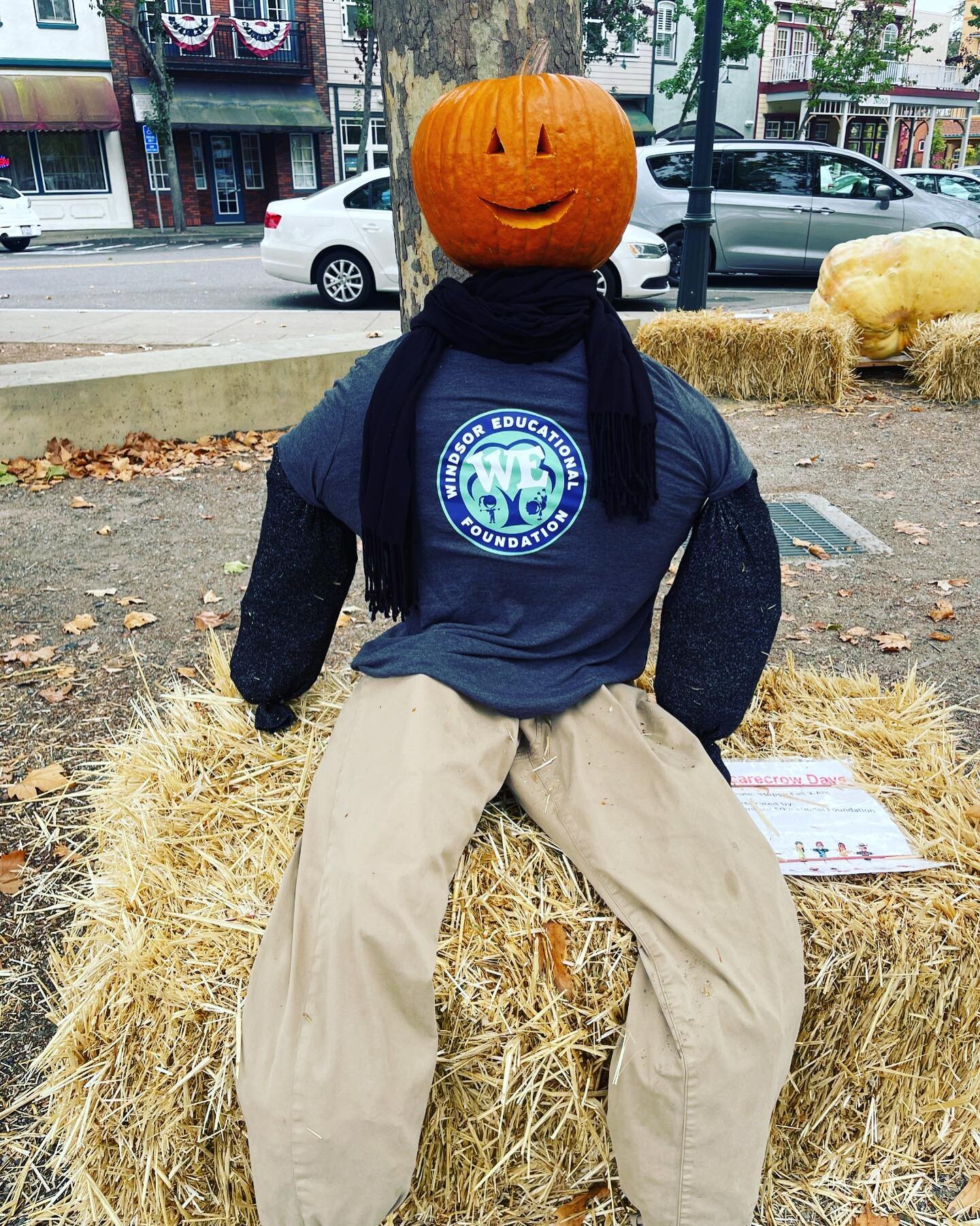 Scarecrows are here,  and the festivities begin. Exited to see these in the town again.

#scarecrowdaysonthegreen #windsortown #windsortowngreen #onthegreen #windsoreducationalfoundation #wefoundation