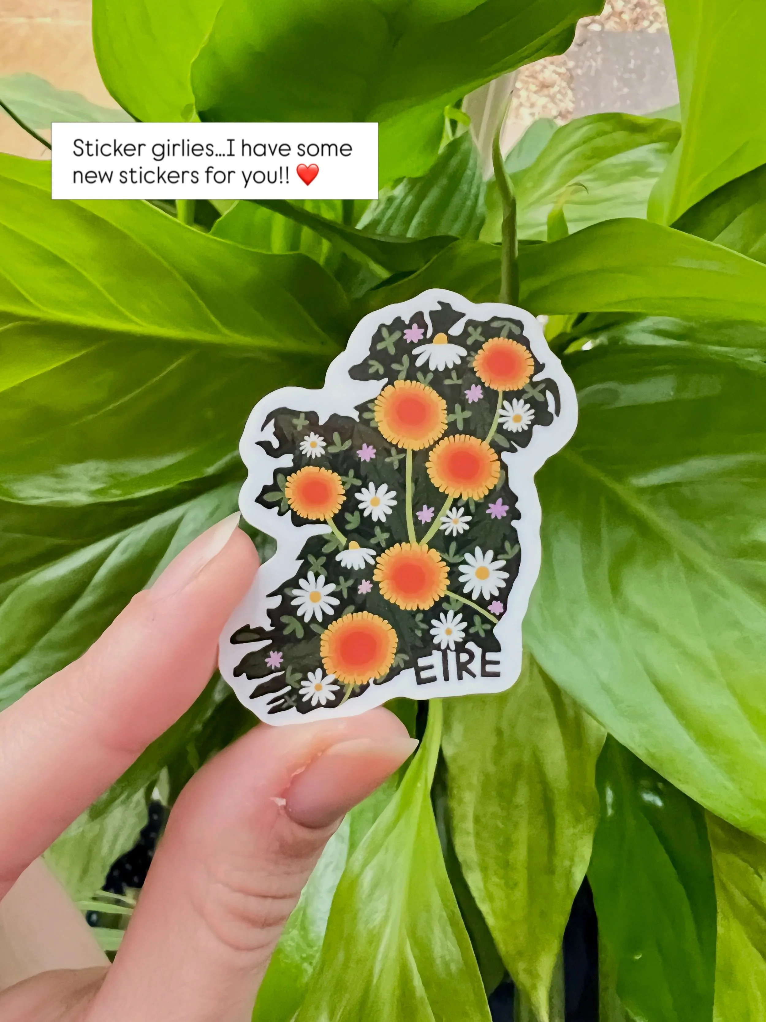 NEW STICKERS!!! ⭐️

I have some new stickers for all my sticker queens out there 💖

I will be launching them at my Pop Up Shop in Kilkenny Design Liffey Valley this Thursday 🤩

I will also have new 2027 calendars yayyy!! And I&rsquo;ll be giving aw