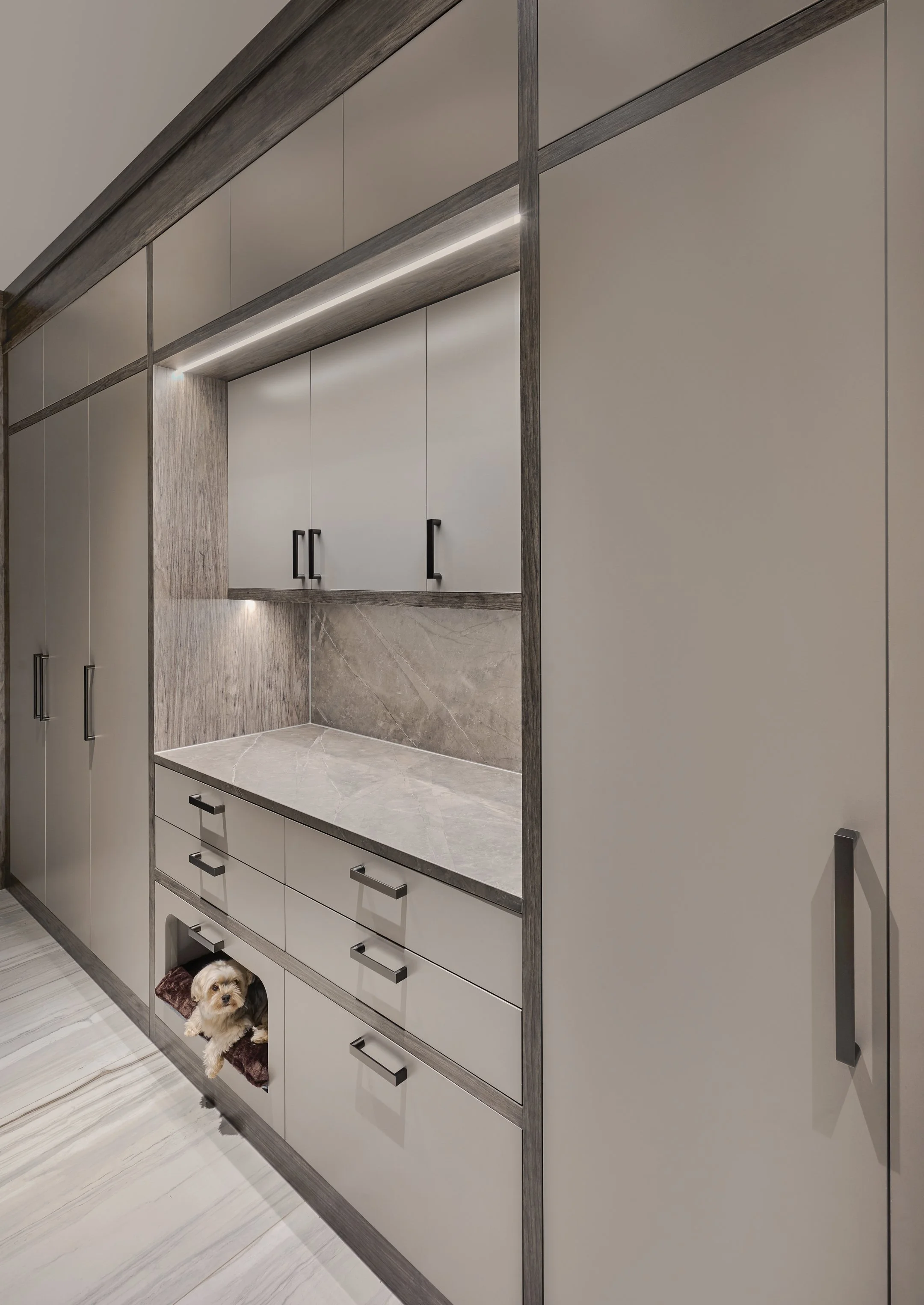 Modern kitchen with white cabinets, gray handles, marble countertops, and a small dog peeking out from a compartment.