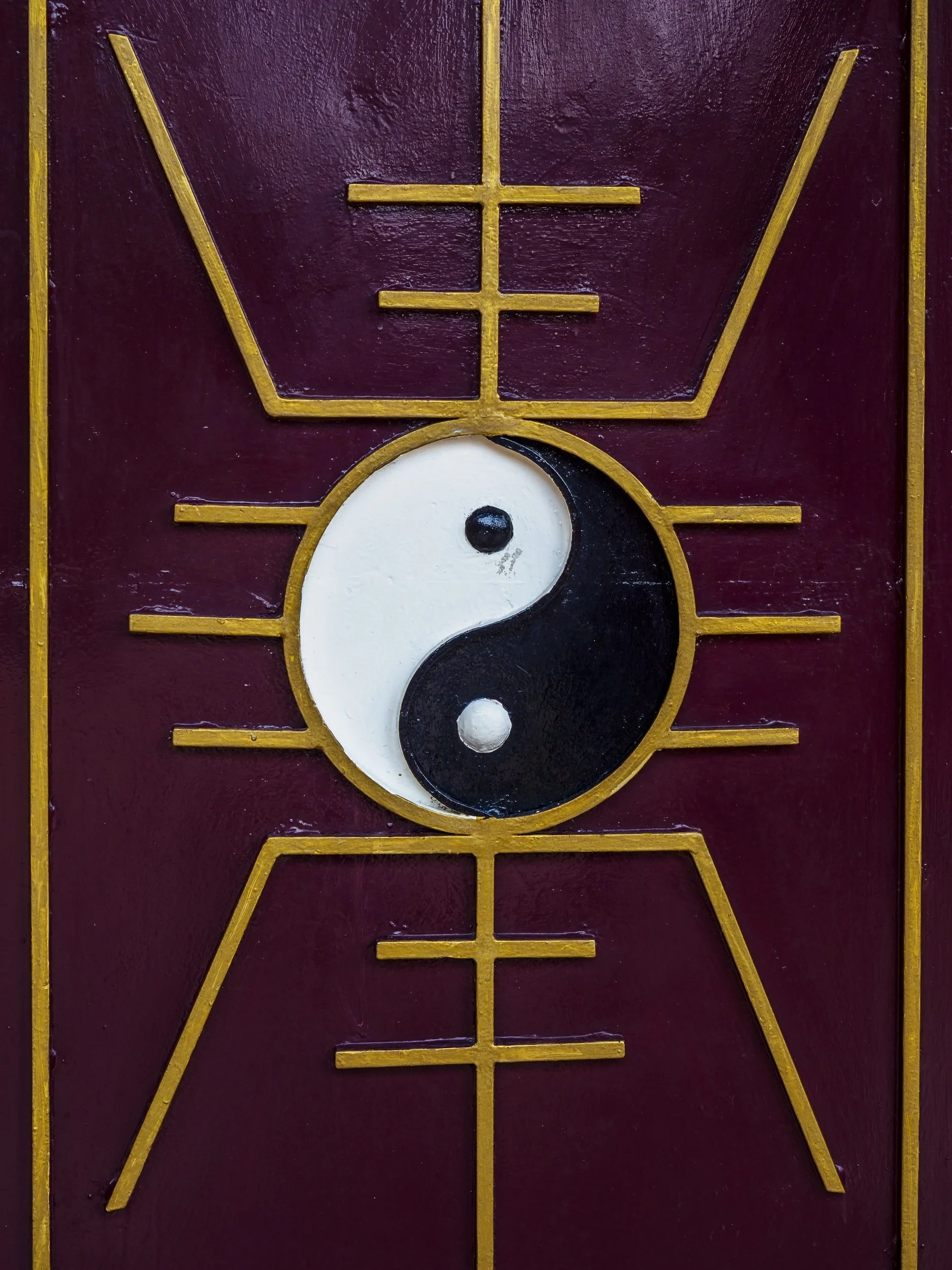 Discovering Traditional Chinese Medicine 