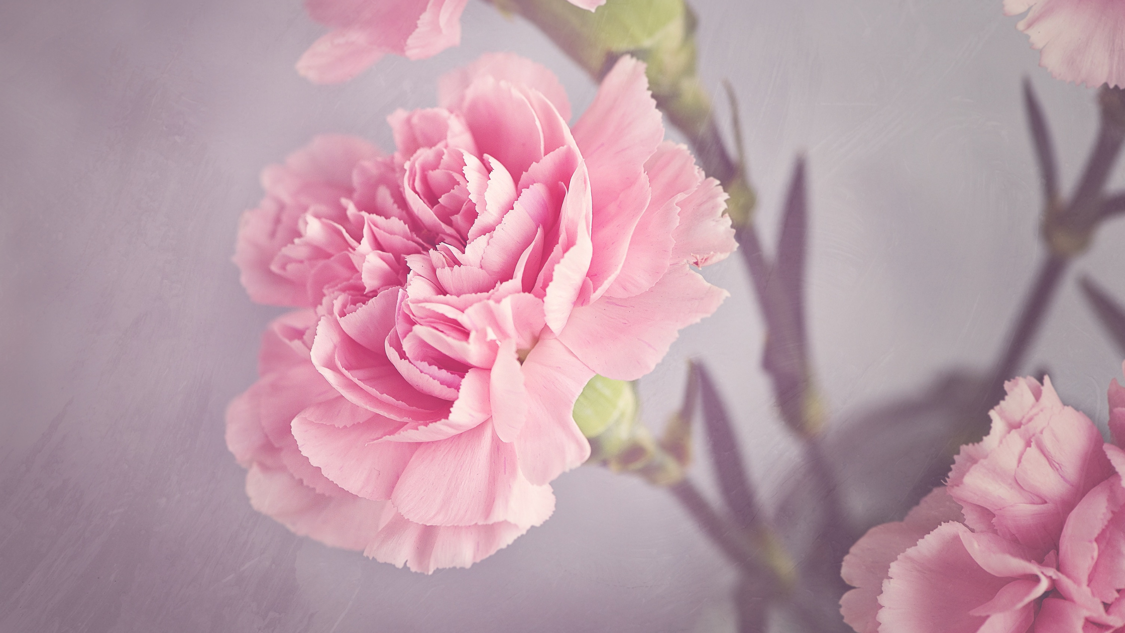 Dusty Pink and Green Nourishing LIfe.png