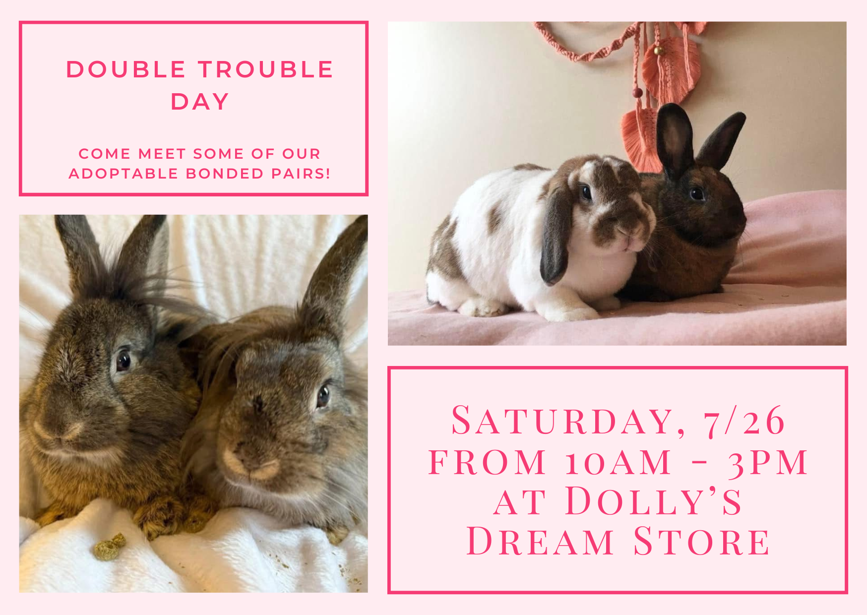 Double Trouble Day