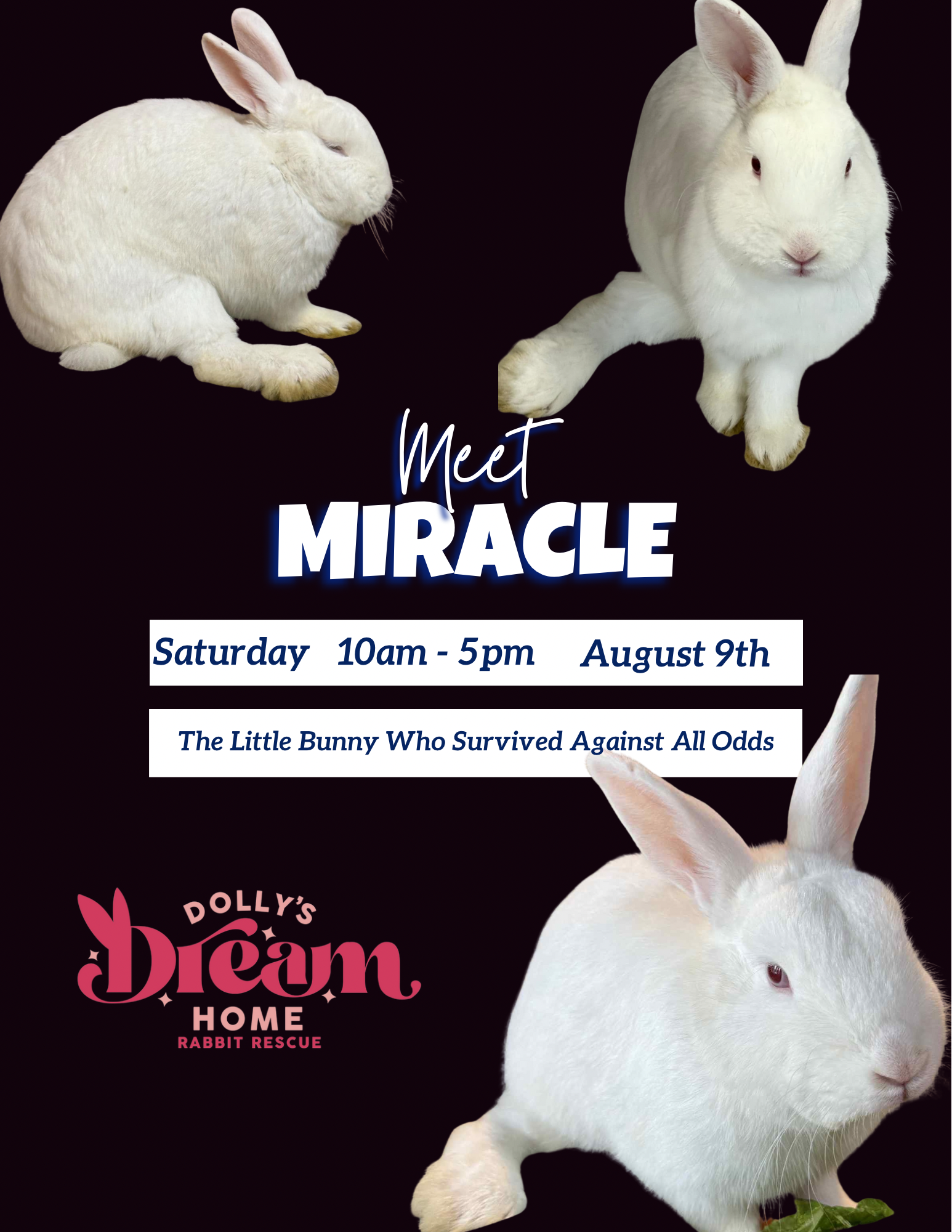 Meet Miracle
