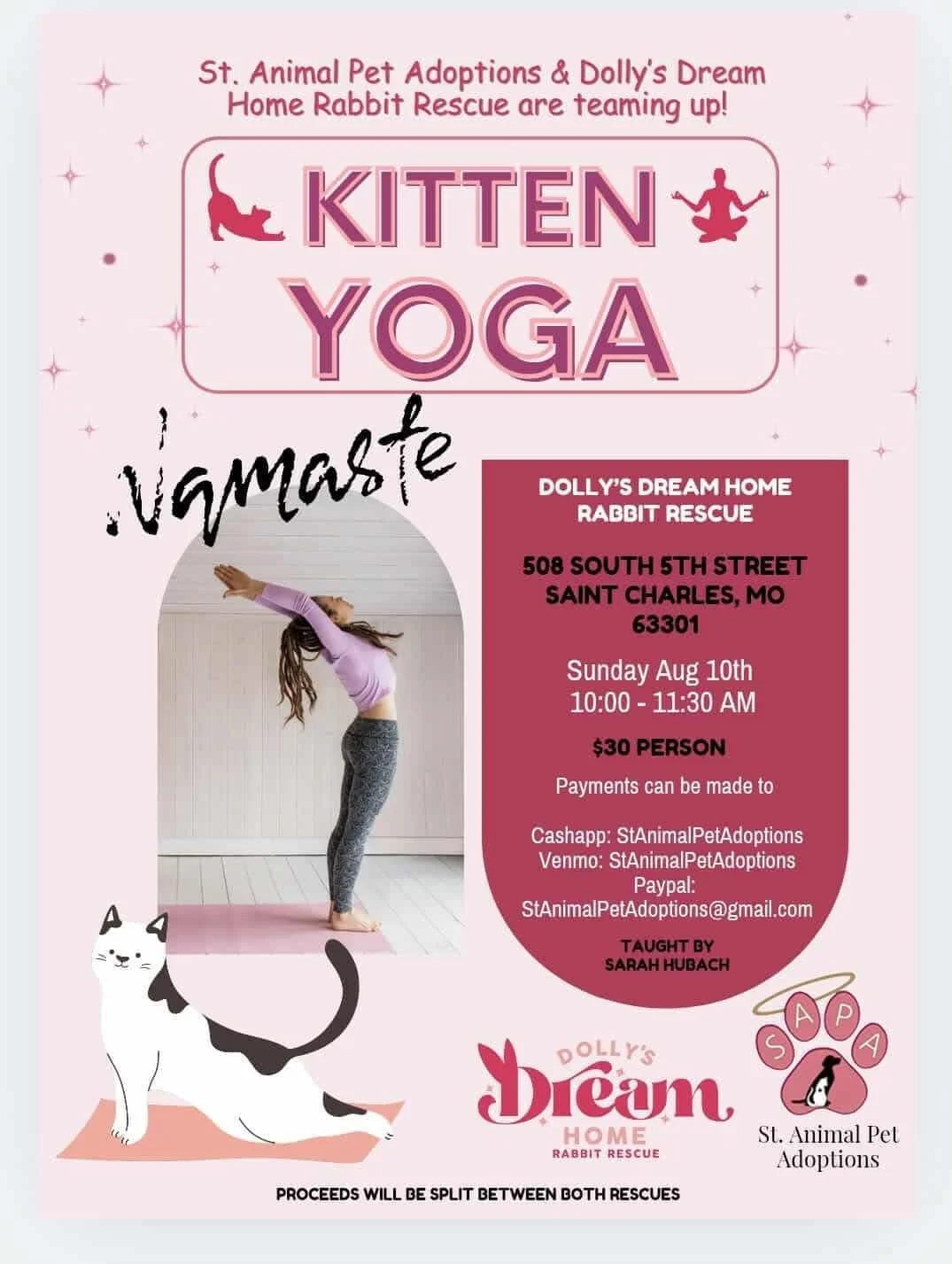 Kitten Yoga