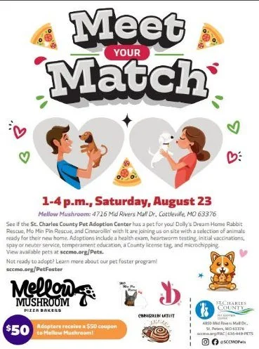 Mellow Mushroom
