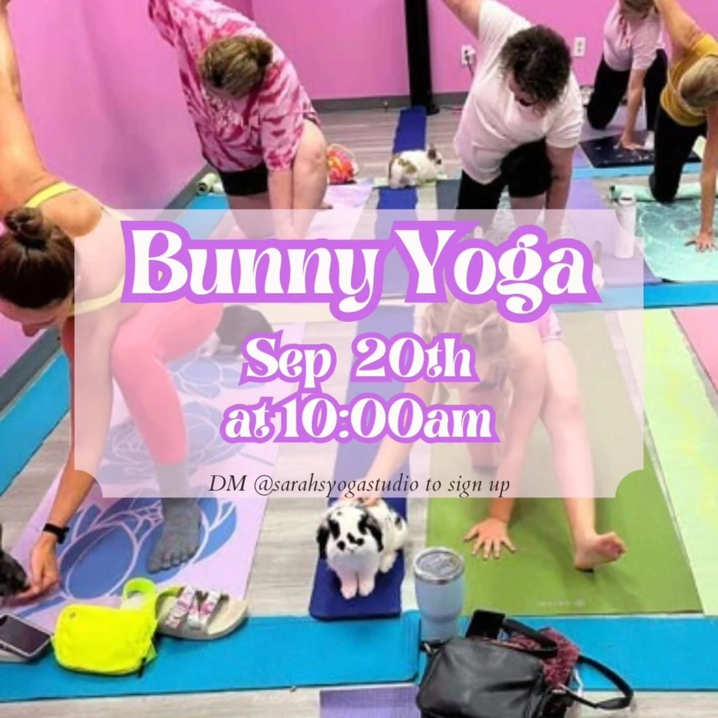 Bunny Yoga
