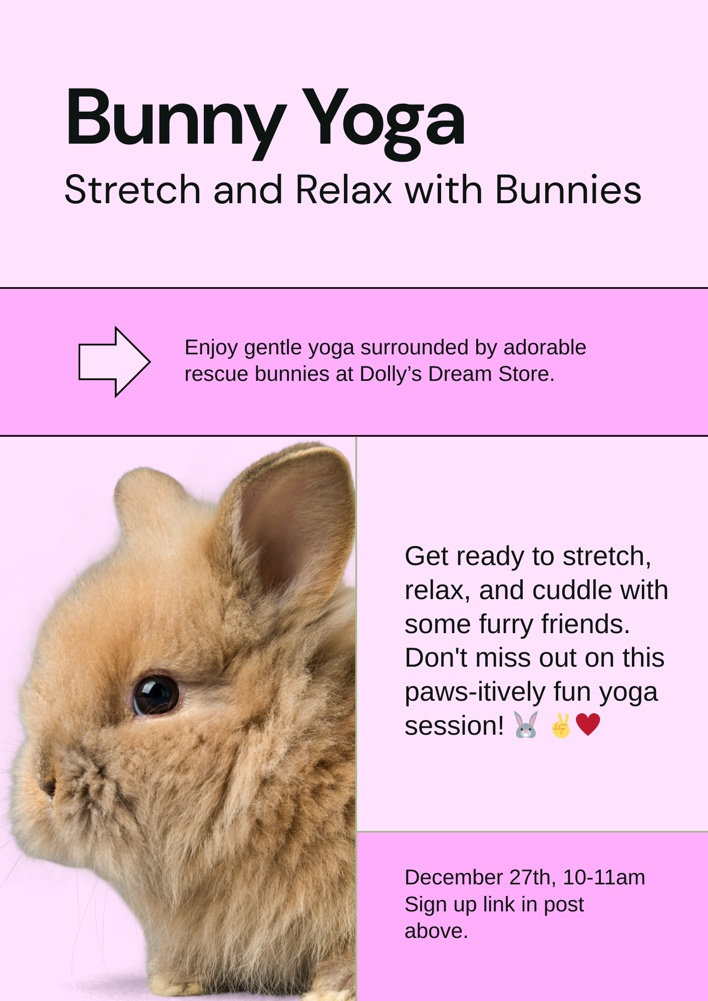 Bunny Yoga