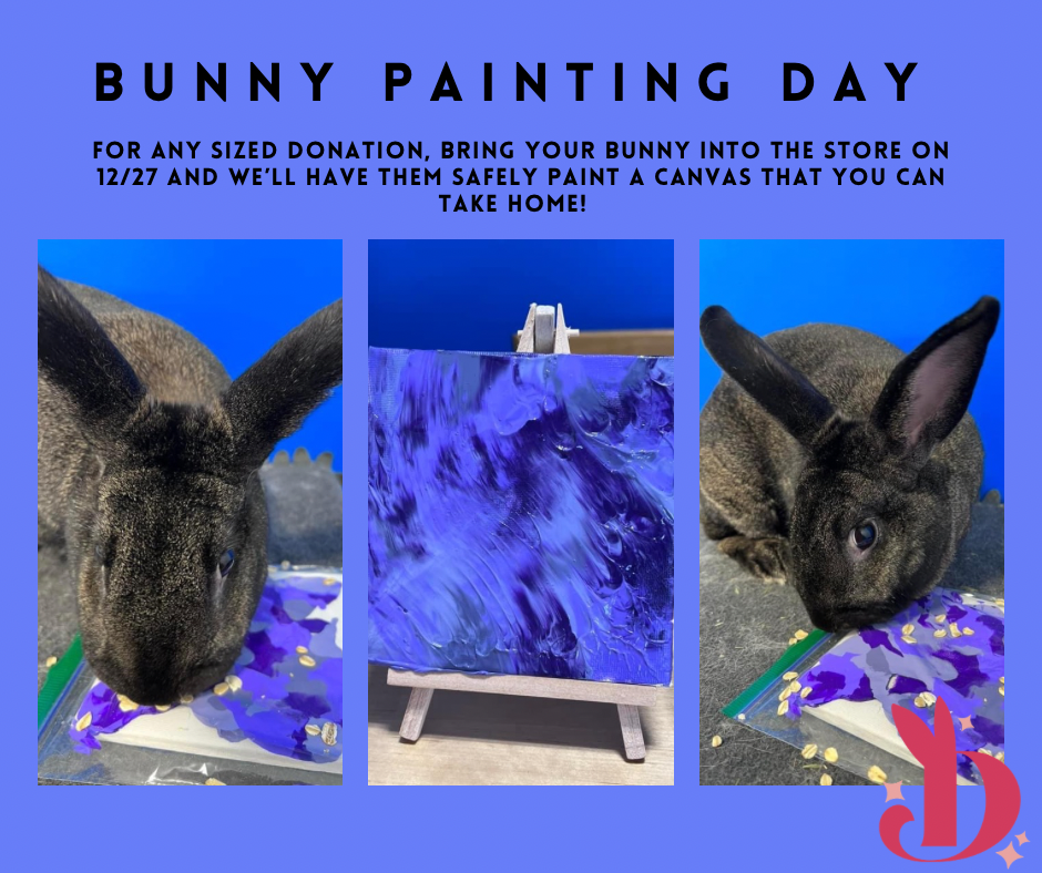 Bunny Canvases