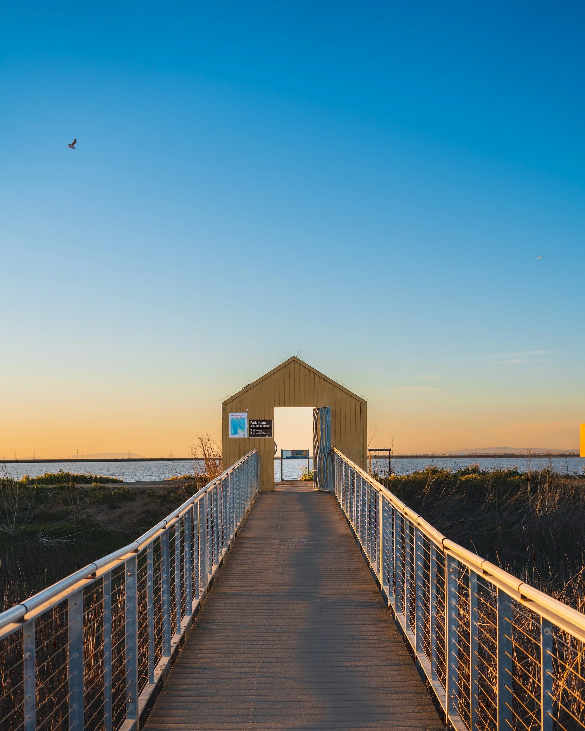 Wooden boardwalk leading to a yellow structure with open doors, overlooking a body of water during sunset, with a bird flying in the clear blue sky.