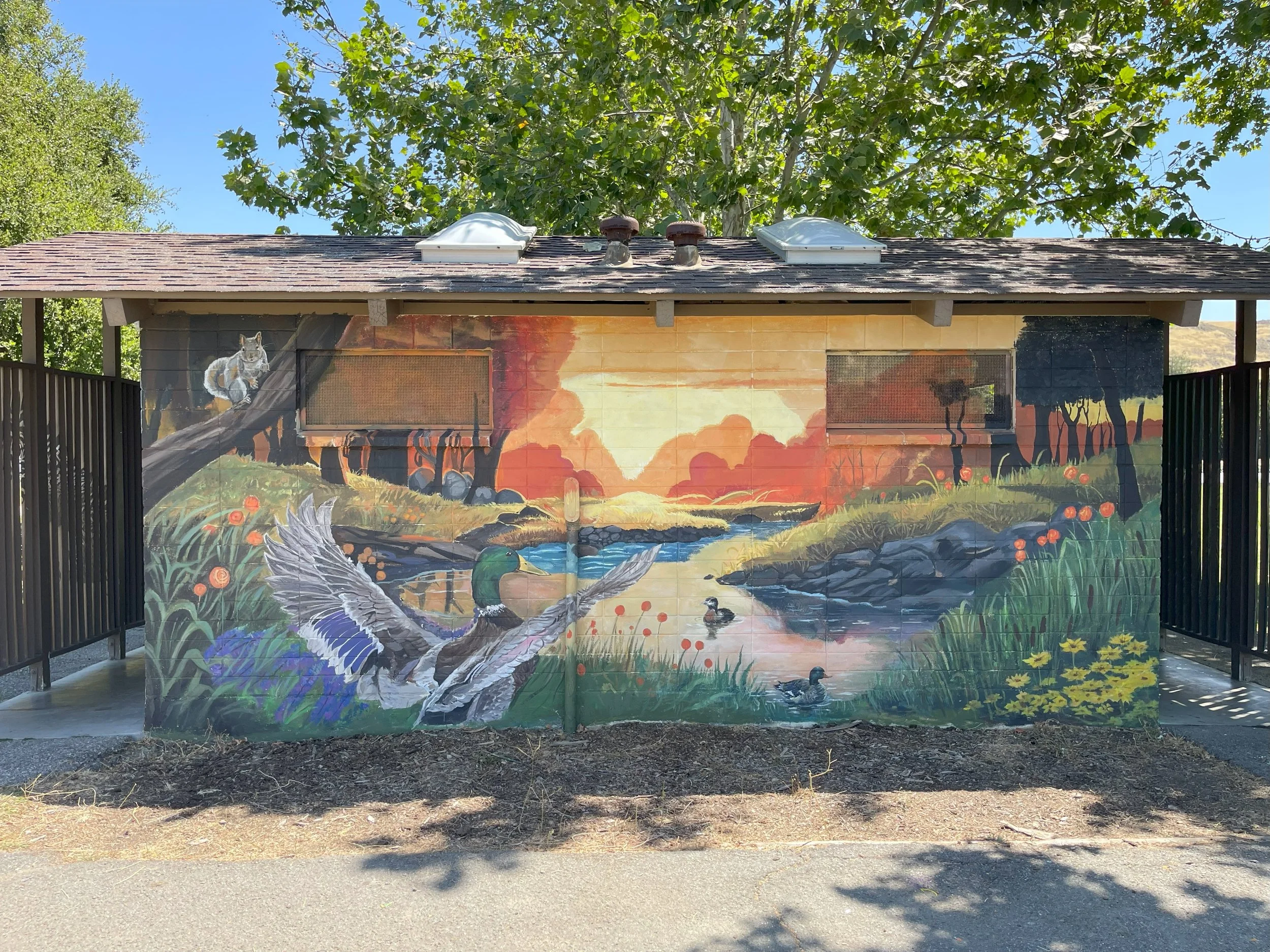 Mural depicting a natural landscape with a squirrel, river, ducks, and a duck in flight on a building wall.