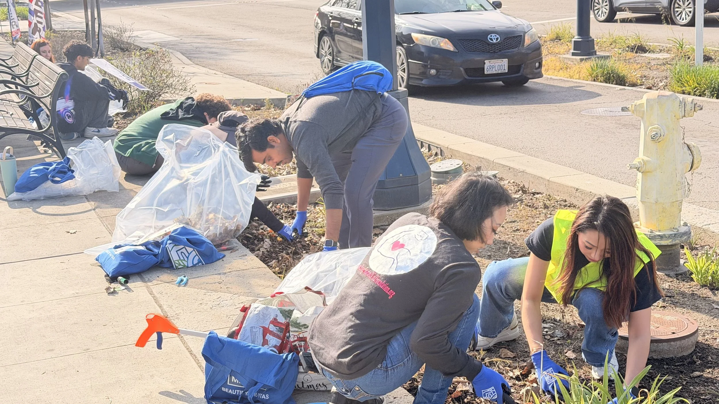  Gardening and beautifying the city 