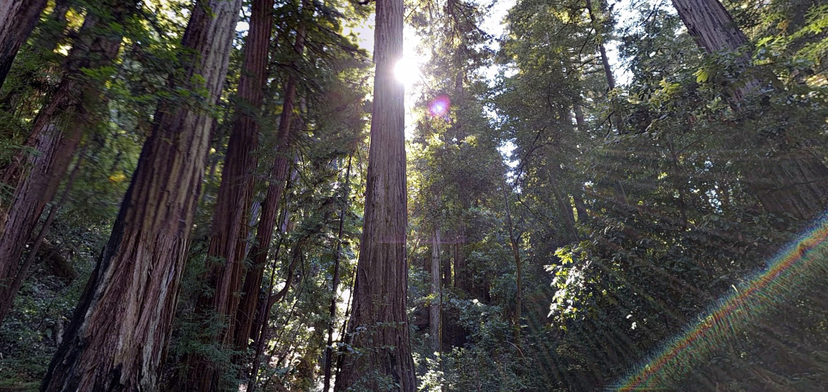 Screenshot 2026-02-21 222049.png