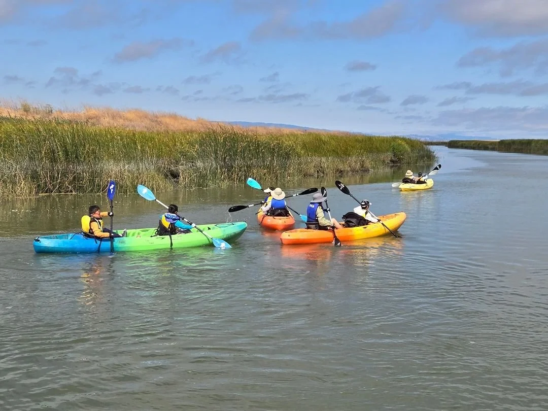 People kayaking on a calm river surrounded by reeds under a blue sky.