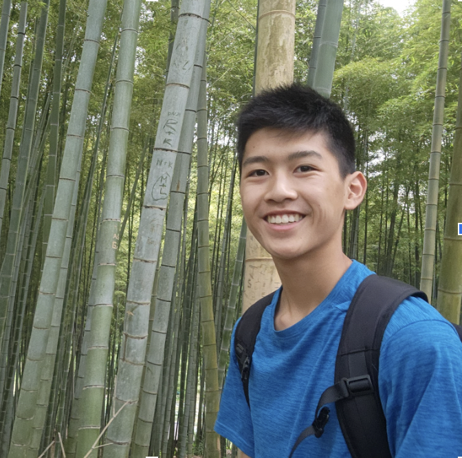 Young man in blue shirt smiling in a bamboo forest.