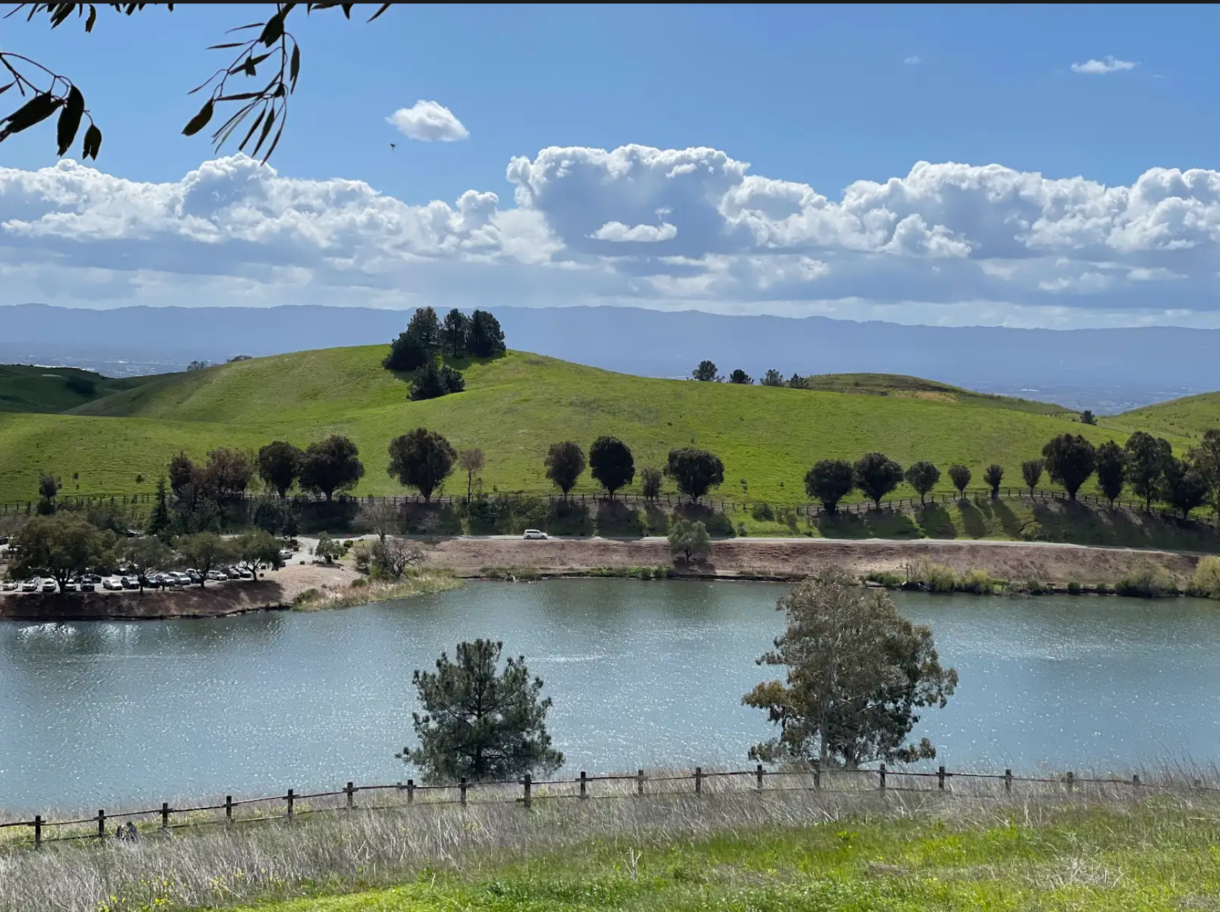  An image of the green hills at Ed Levin Park. 