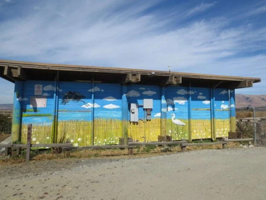 Building with a colorful mural depicting birds, clouds, and nature on a wooden exterior wall.