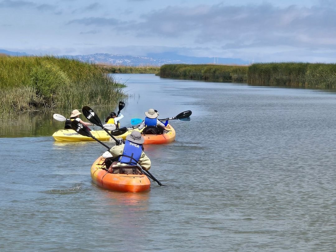 Group of people kayaking on a calm river with grassy banks under a cloudy sky.