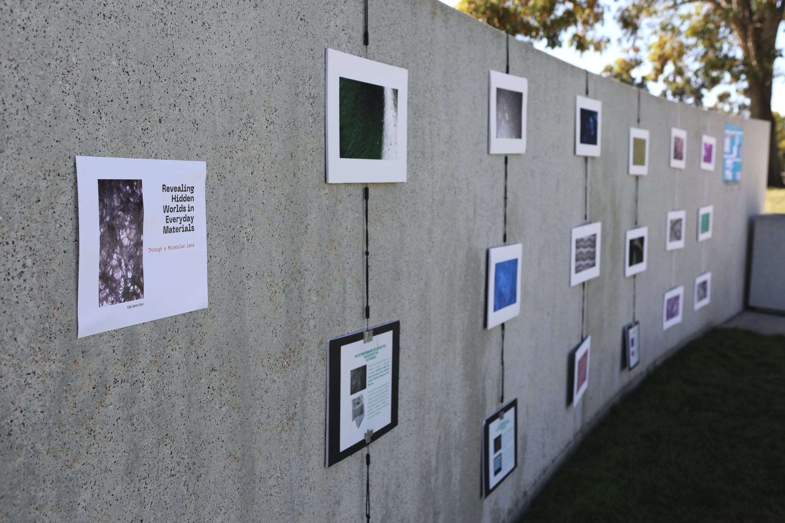 Outdoor art exhibit displaying framed photographs and informational cards mounted on a concrete wall with trees and a clear sky in the background.