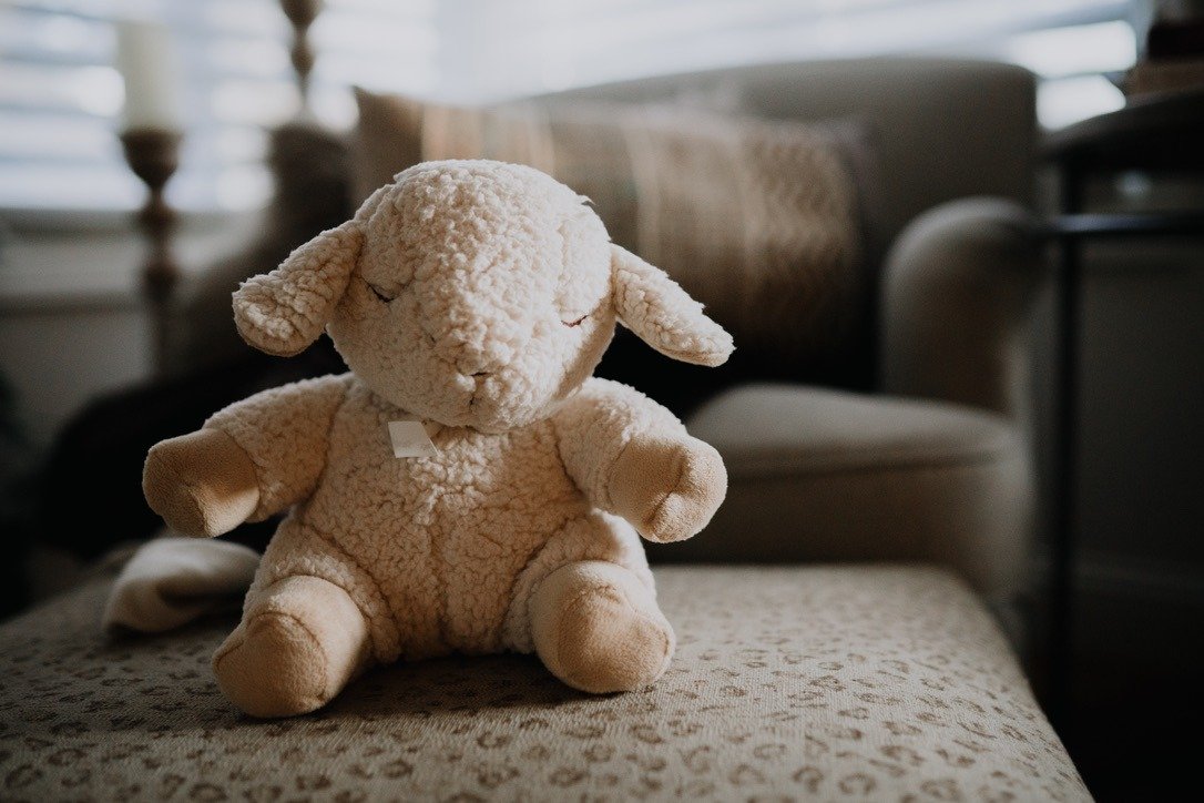 a plush stuffed animal of a lamb sits on an ottoman in gentle soft focus