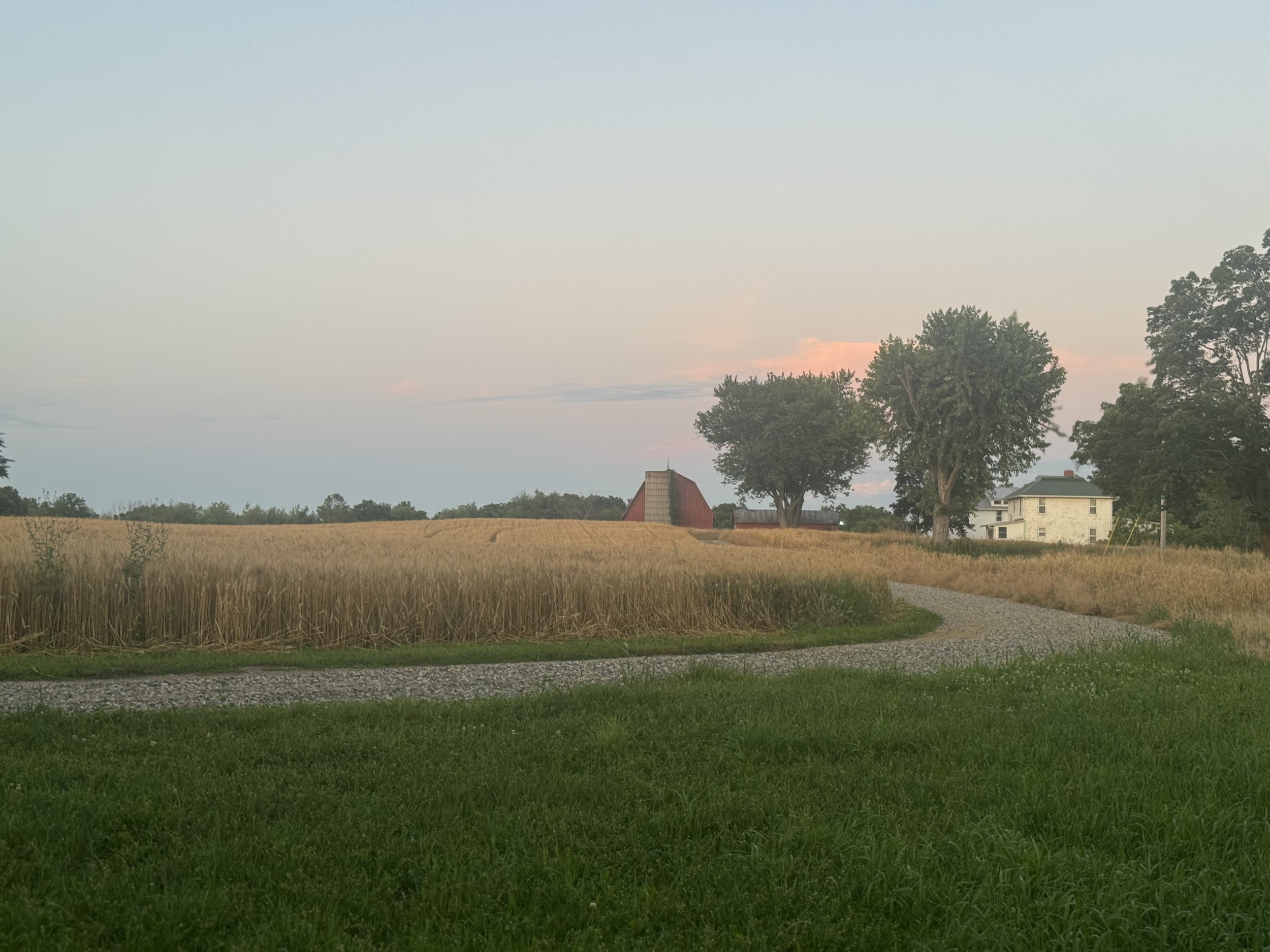 Ohio landscape in late summer with a red barn and white farmhouse in the background