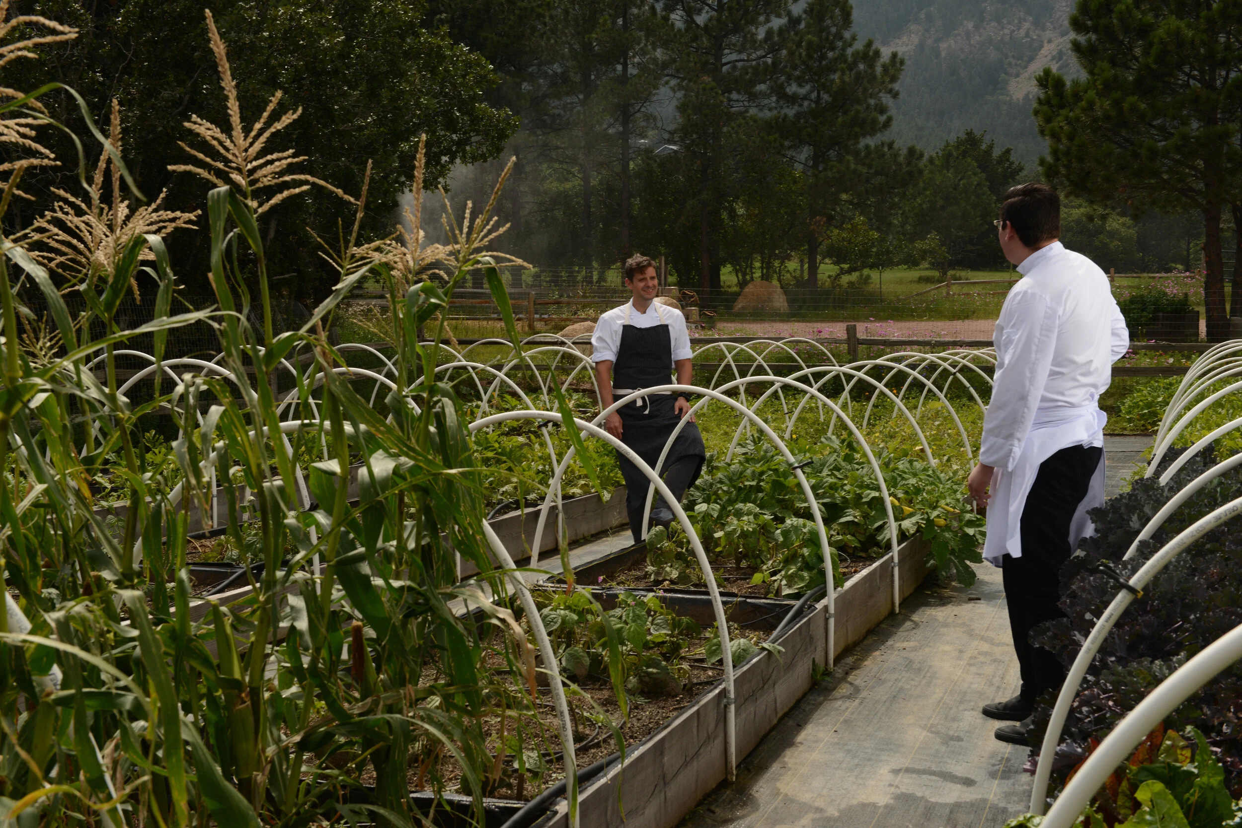 BroadmoorFarms_Exterior_Chefs3.jpg
