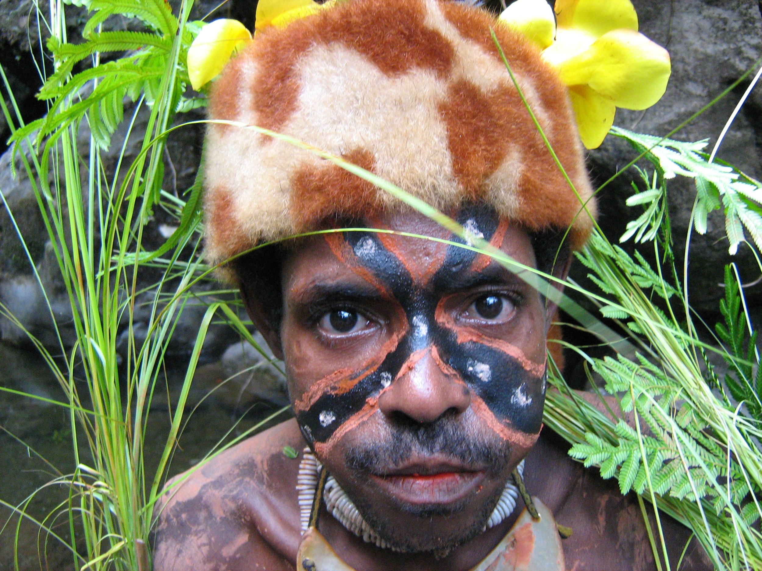 the Meakambut are part of the Penali tribe