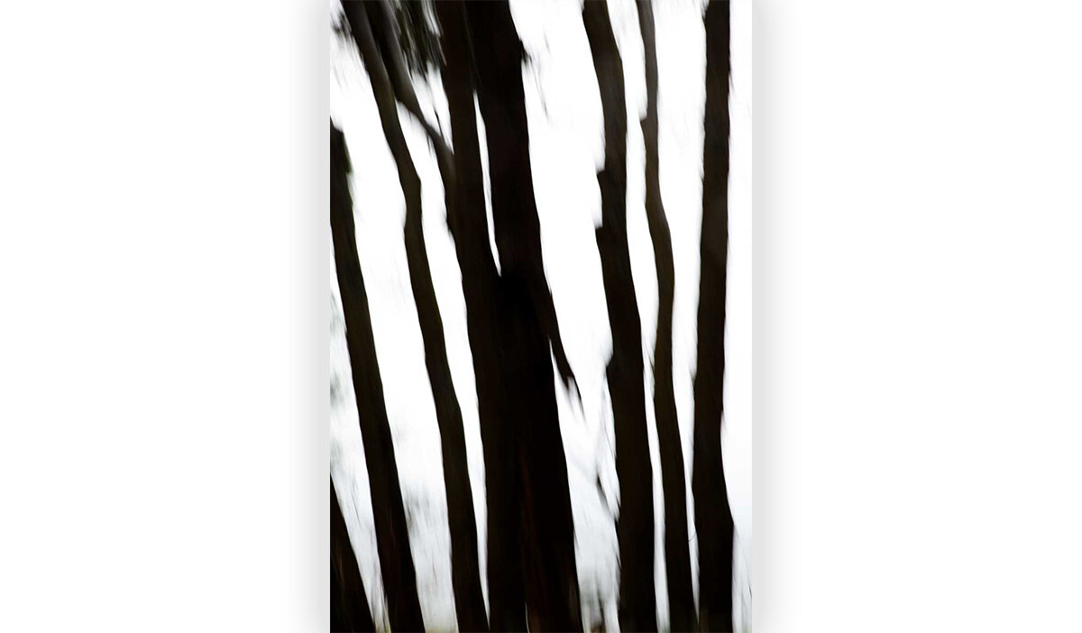 Abstract-Fine-Art-Print-JJ004870-Blur-02.jpg