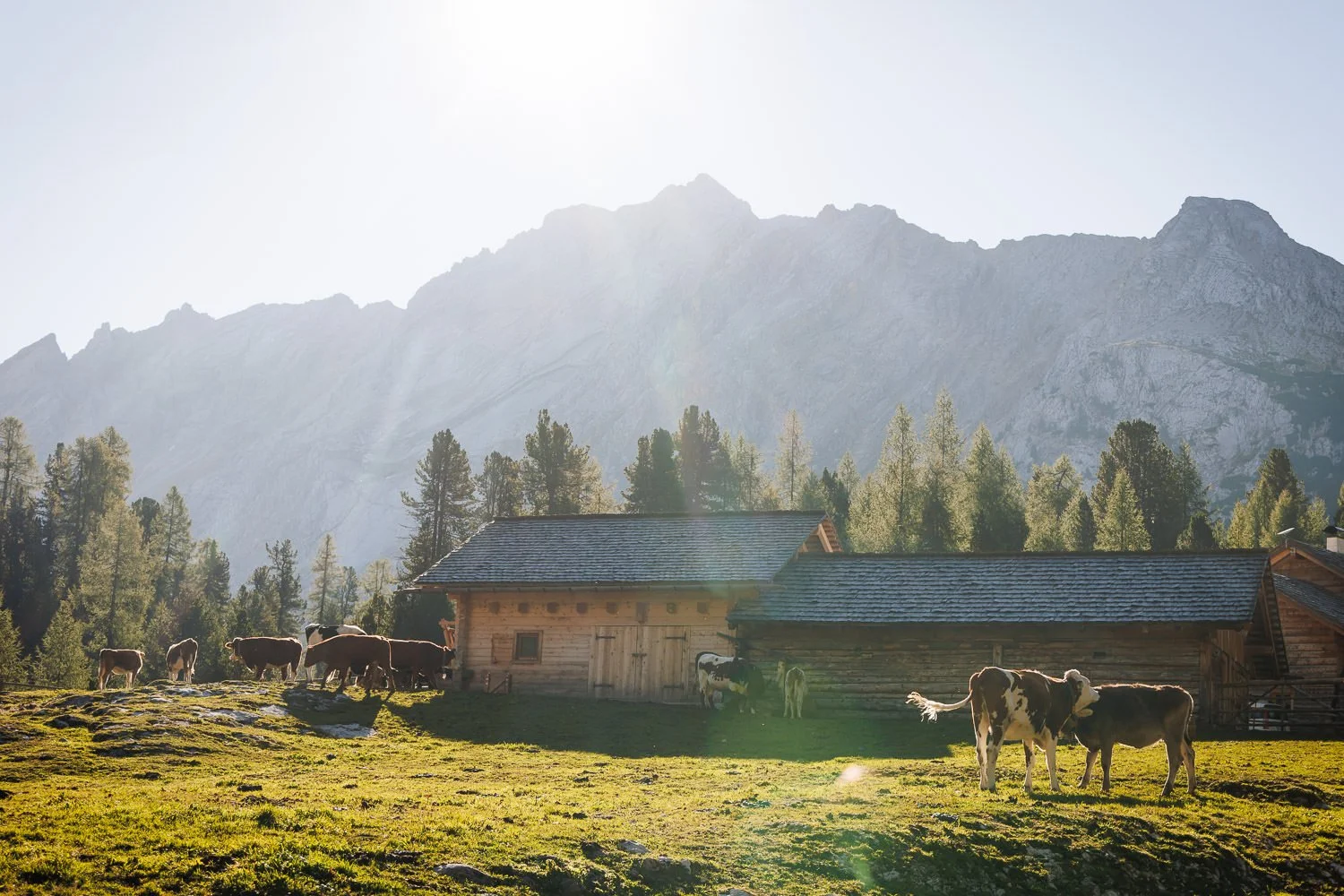 Whistler-photographer-Italy-Dolomites-hiking-trip-_JJ_1902-web.jpg
