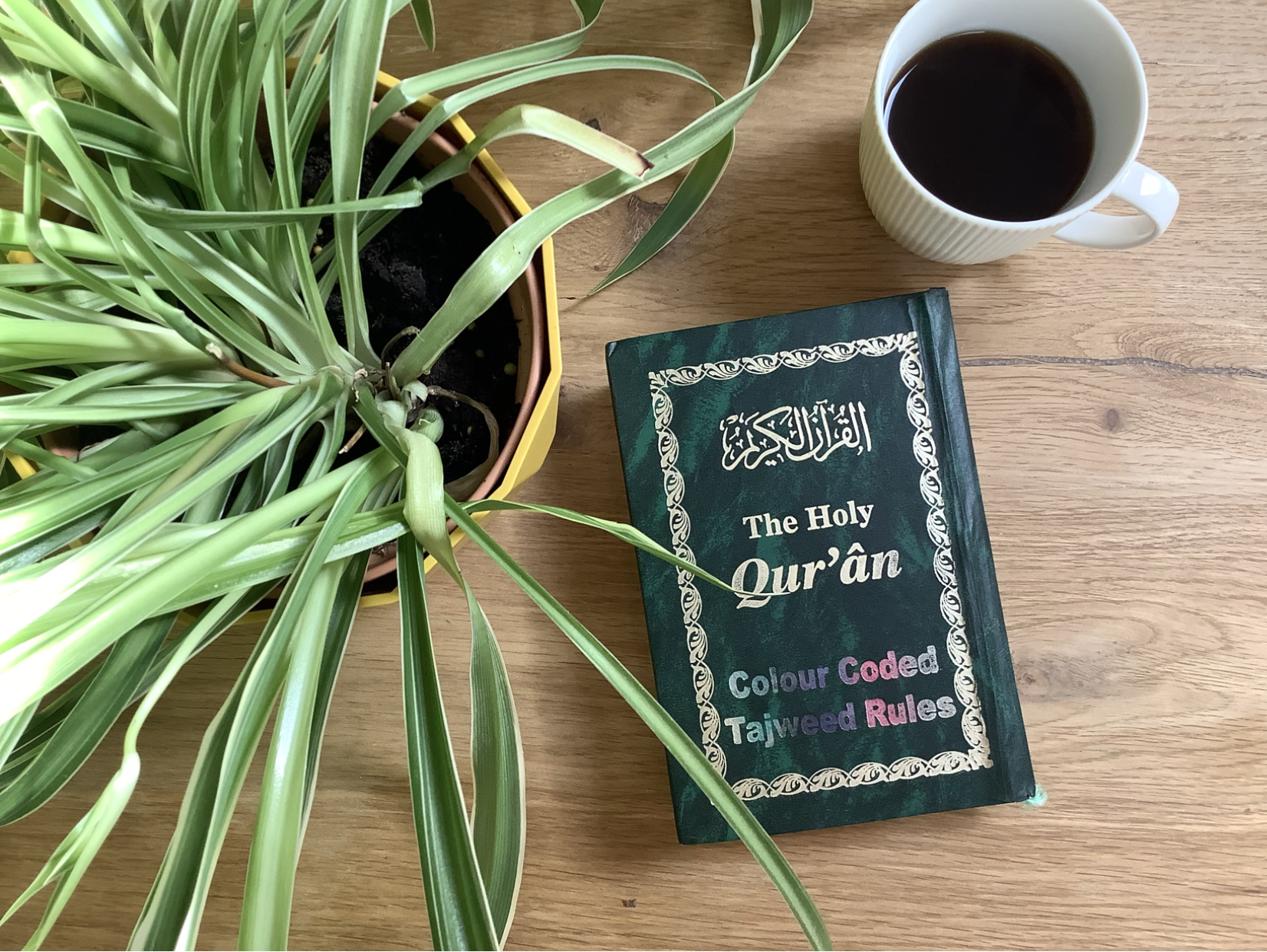 “Do not use a tajweed coloured Quran” - Tajweed Teachers