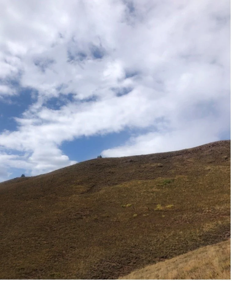 Theres no room for new roads on our public lands