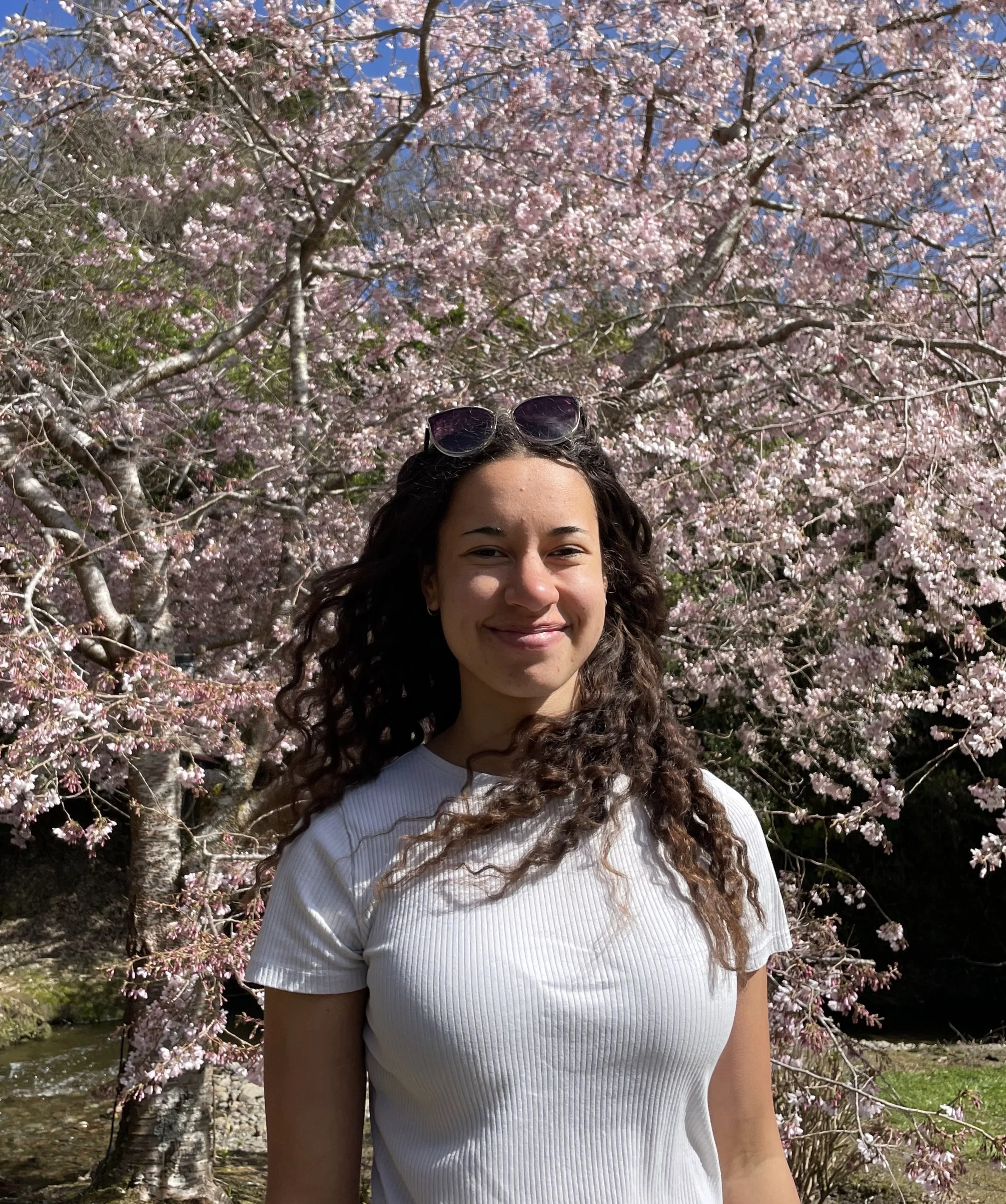 Trombone - Cosette Havelaar