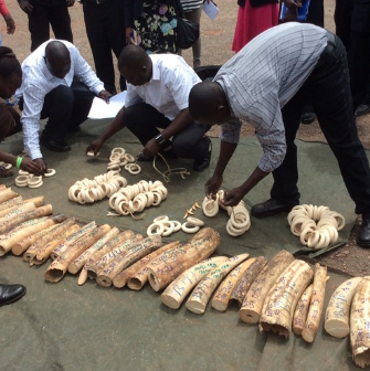 Poaching and Terrorism: The Race to Protect Wildlife and National Security