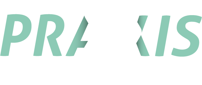 Praxis Construction Contractors