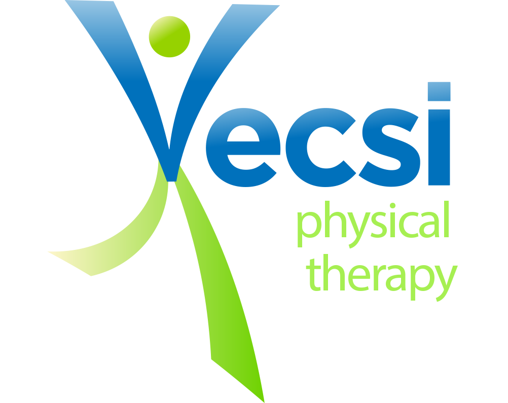 Vecsi Physical Therapy in NYC