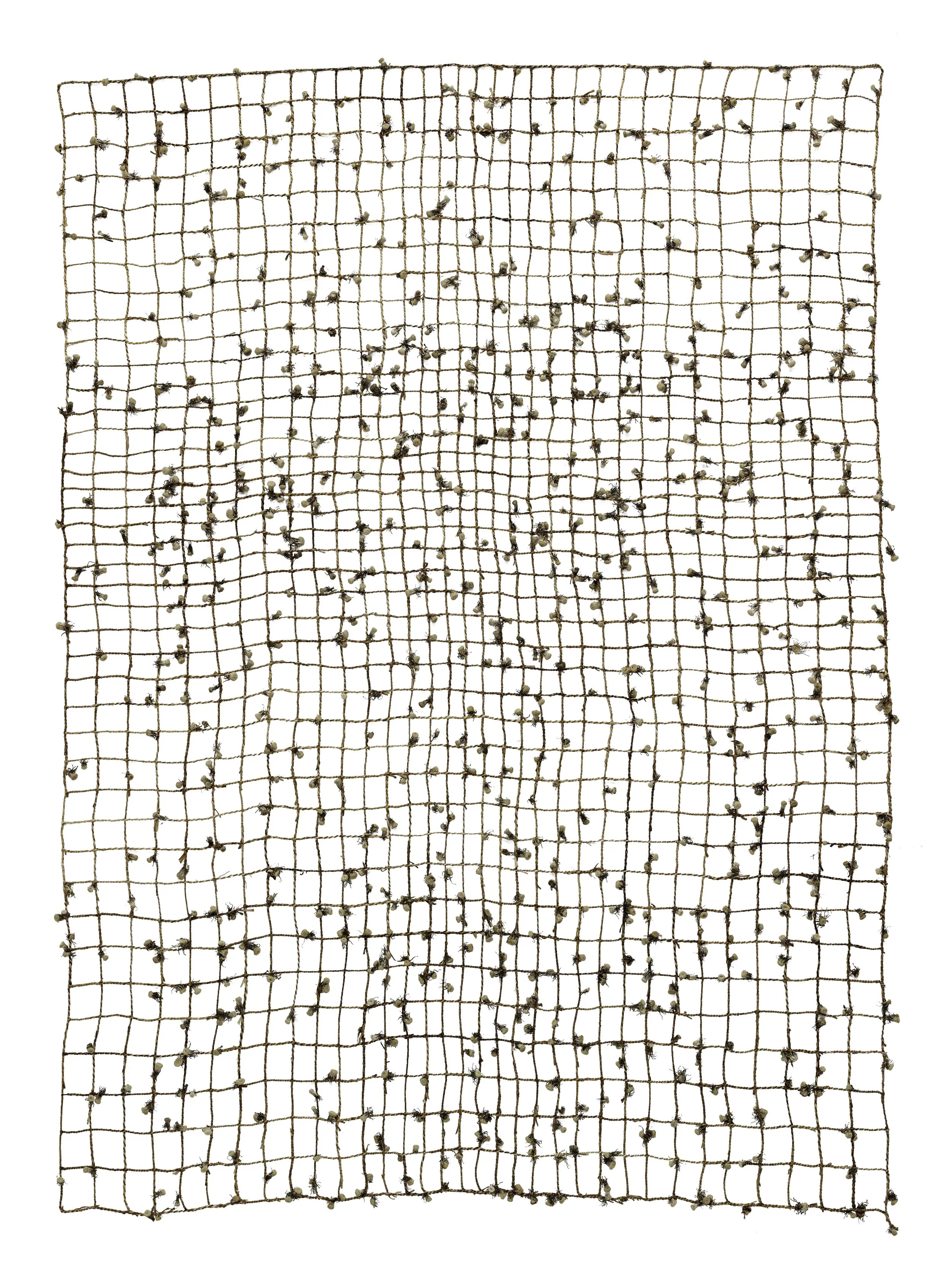 APD_20260803_StephanieBarlow_Artwork007_V2.jpg