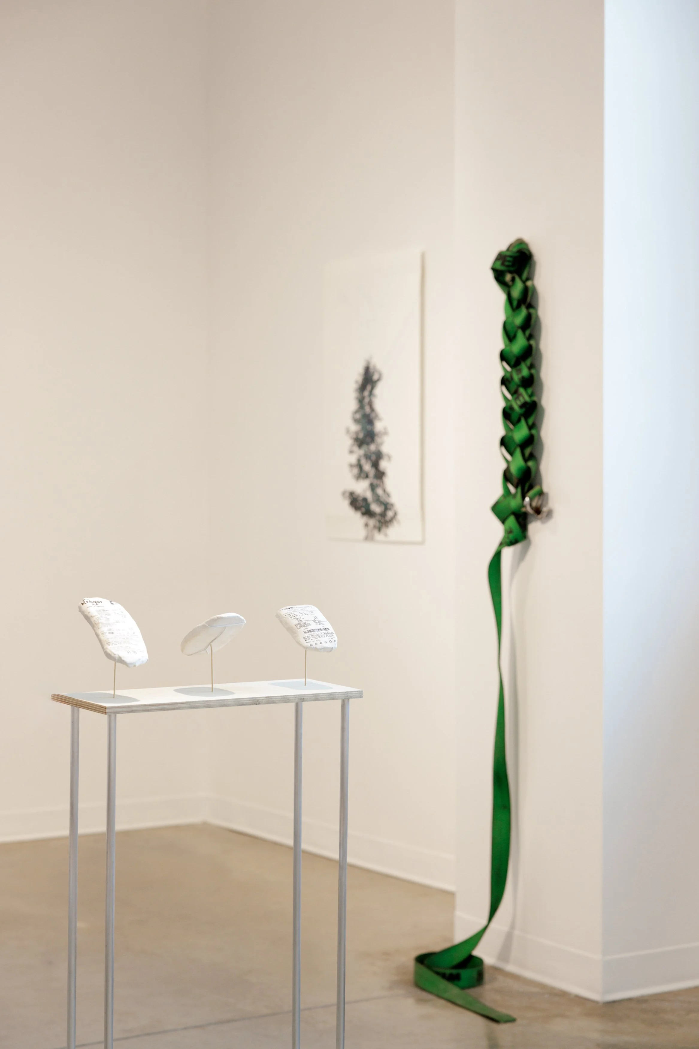 APD_20260819_HerronArtGallery_StephanieBarlow_105.jpg
