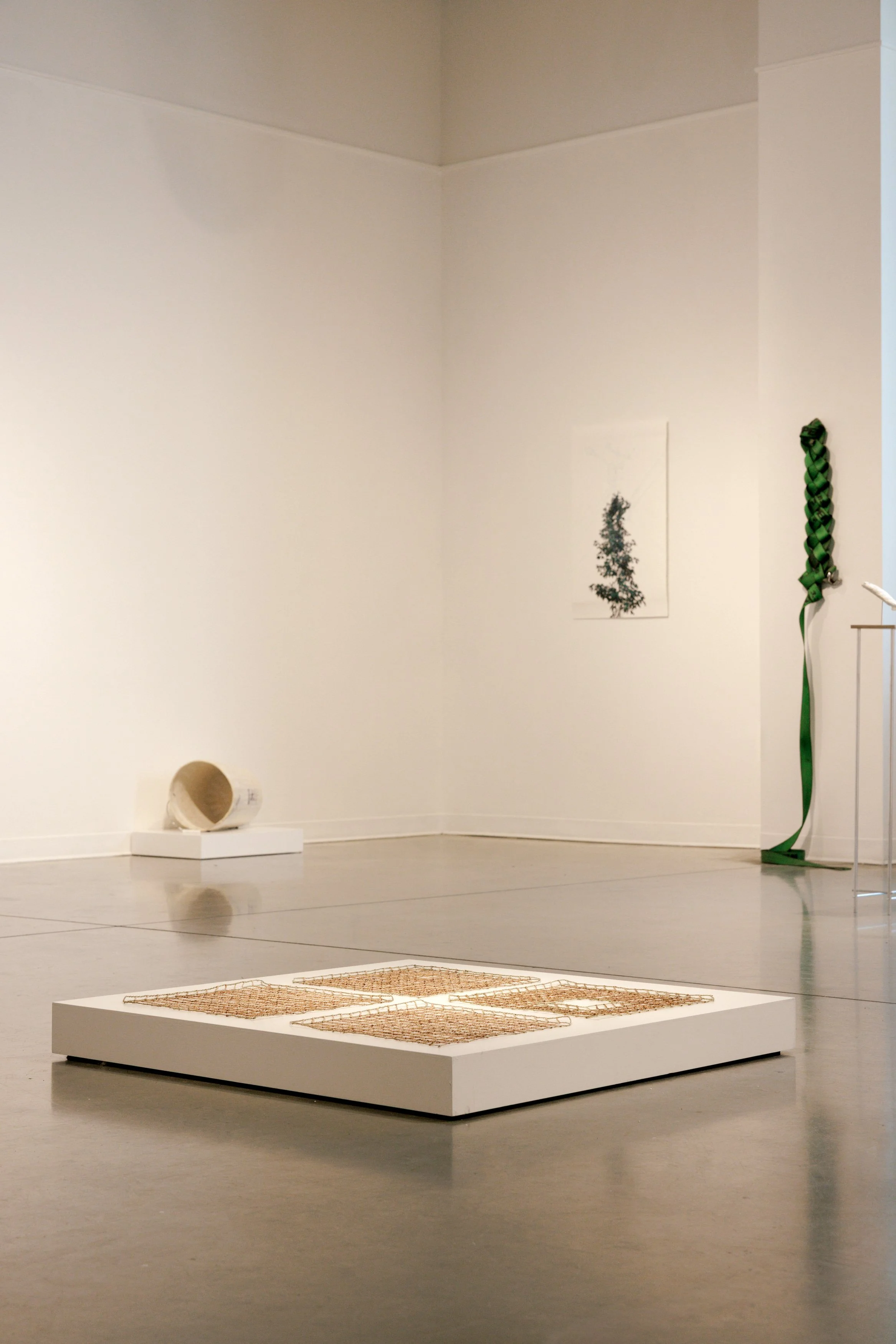 APD_20260819_HerronArtGallery_StephanieBarlow_012.jpg