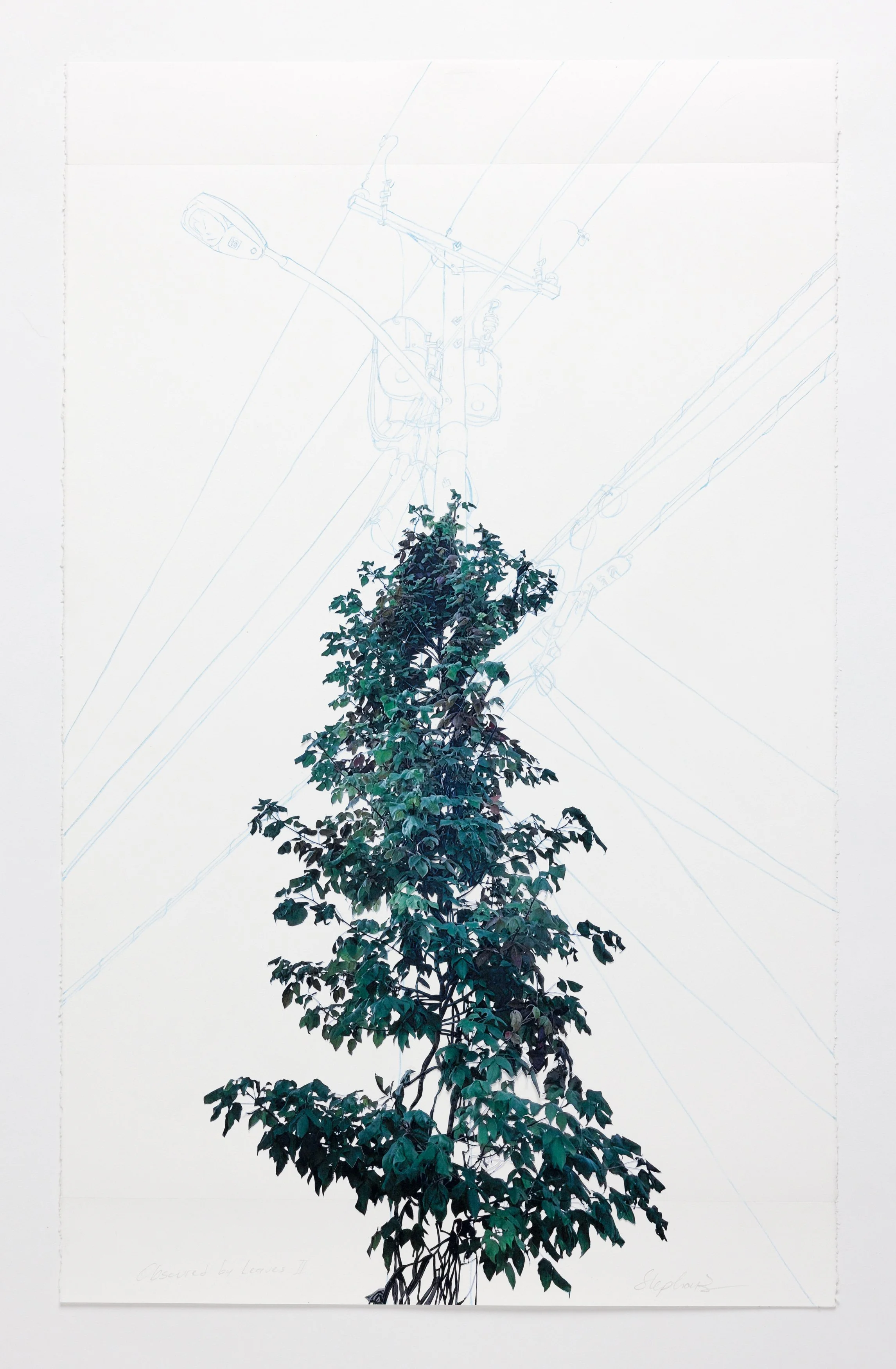 APD_20260803_StephanieBarlow_Artwork019.jpg