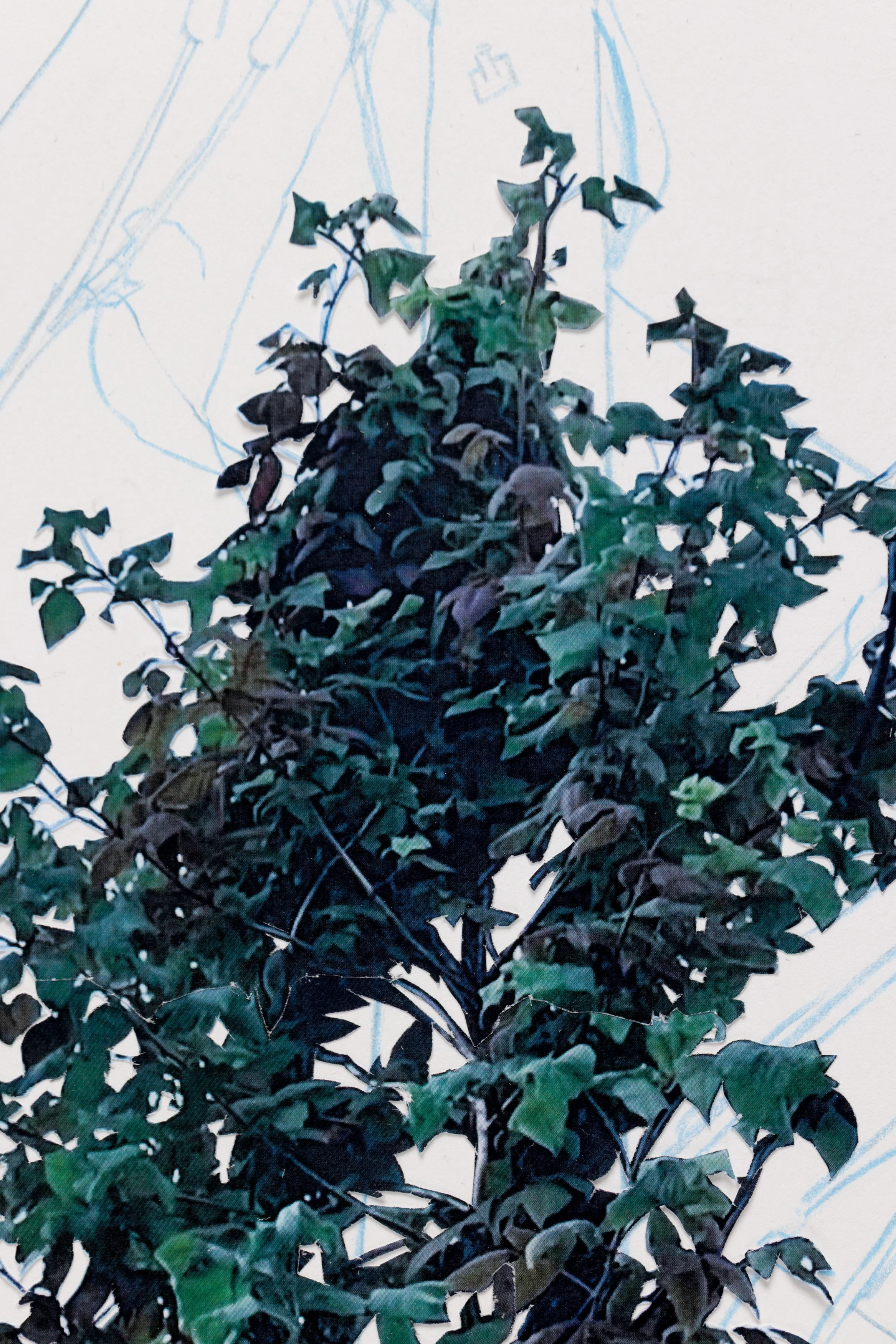 APD_20260803_StephanieBarlow_Artwork020.jpg