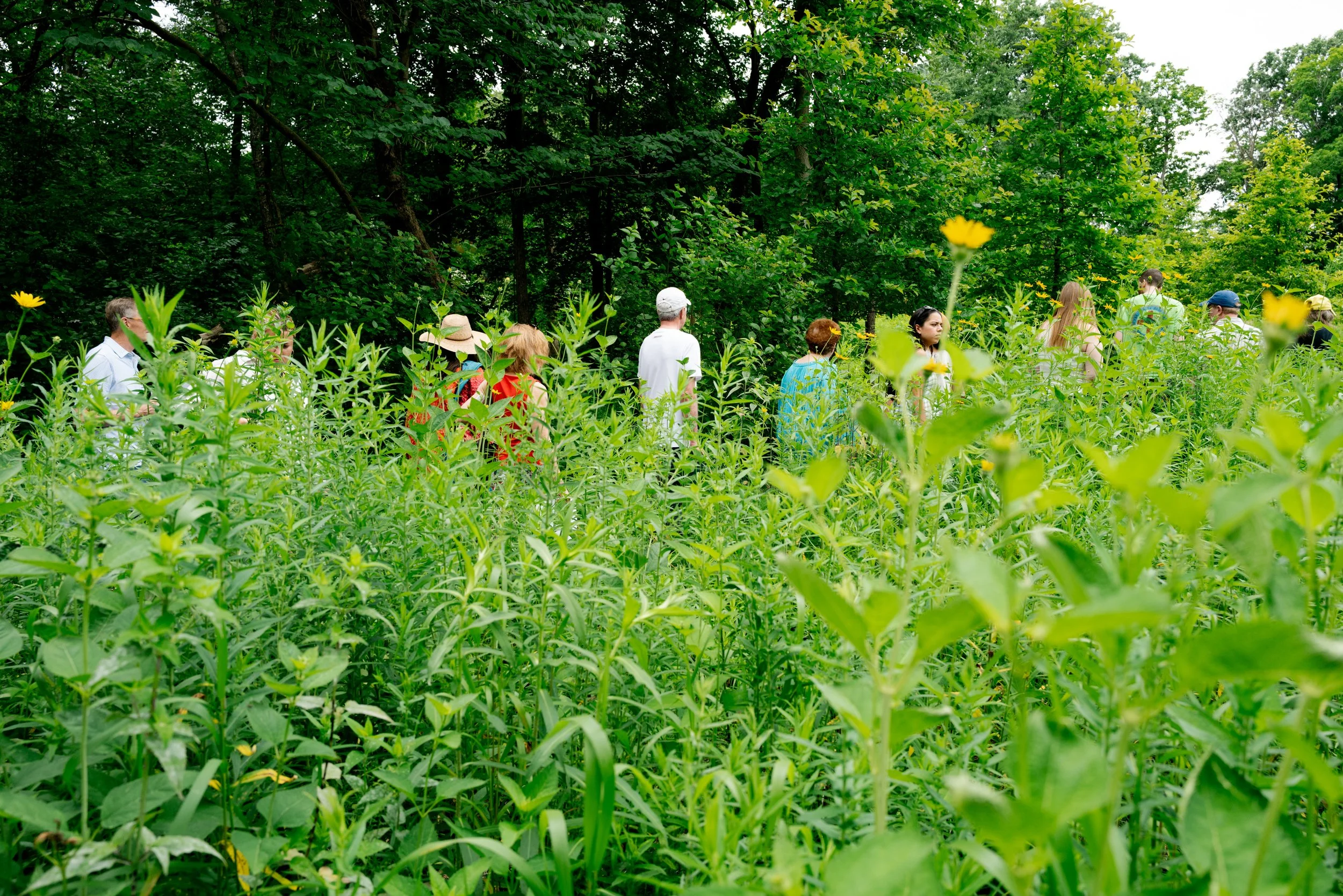 APD_20260604_COMPANION_CoordinatesOfBelonging_GardenWalk08.jpg