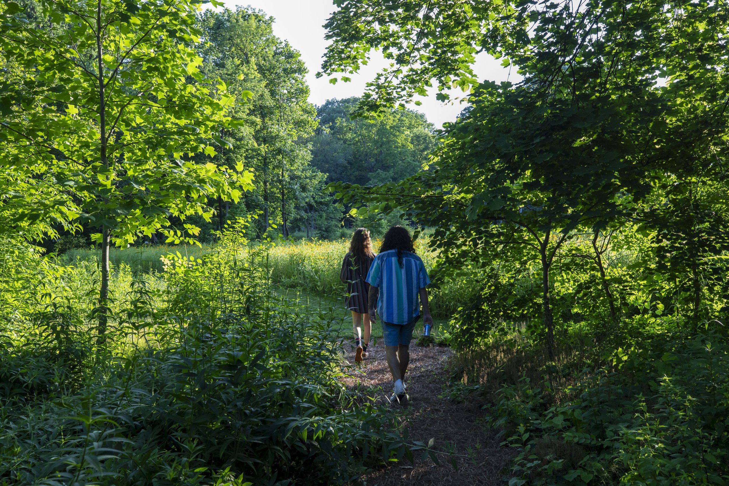 Coordinates of Belonging | Guided Garden Walk with Chris Merritt of Merritt Chase