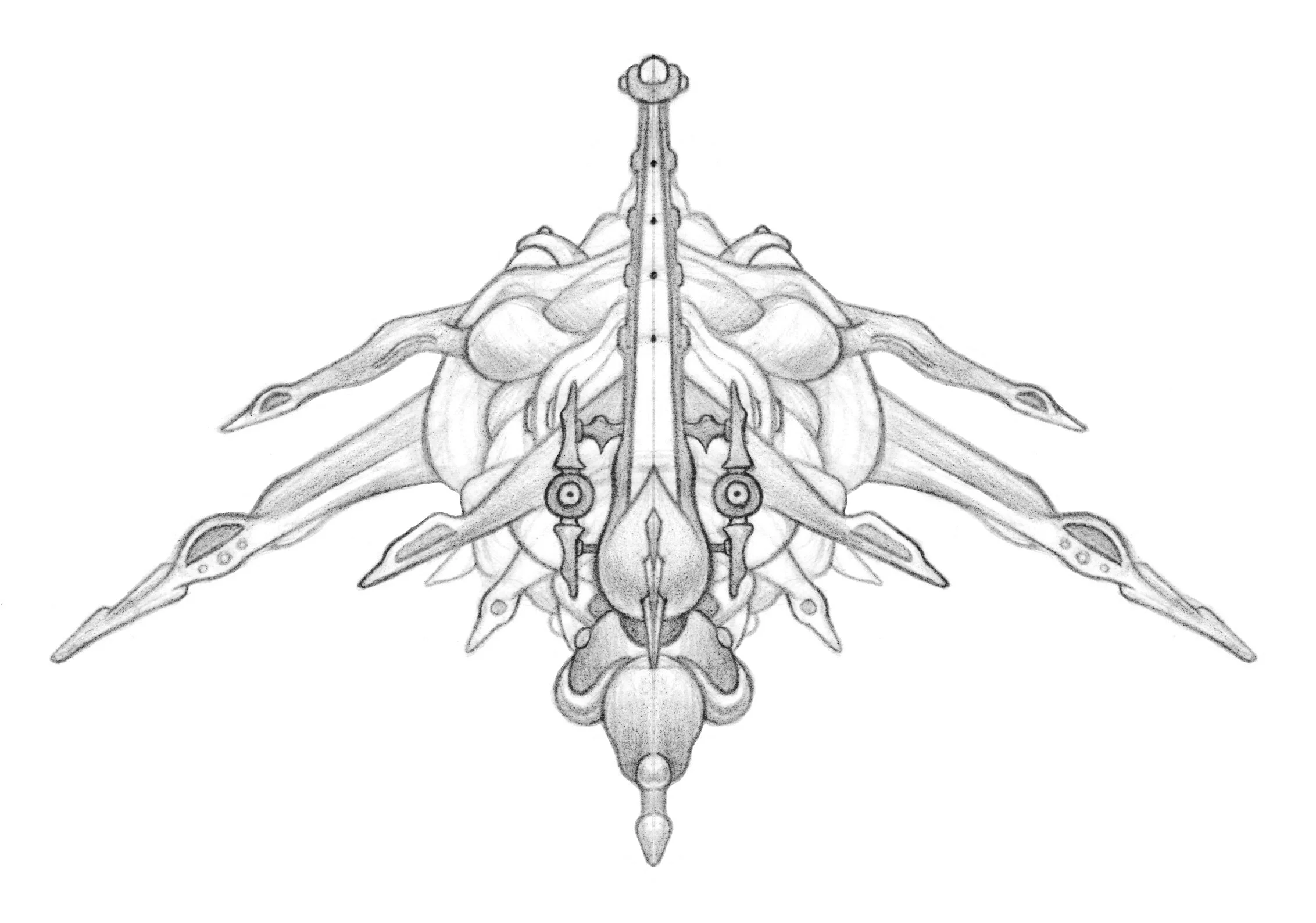 shark ortho rear.jpg