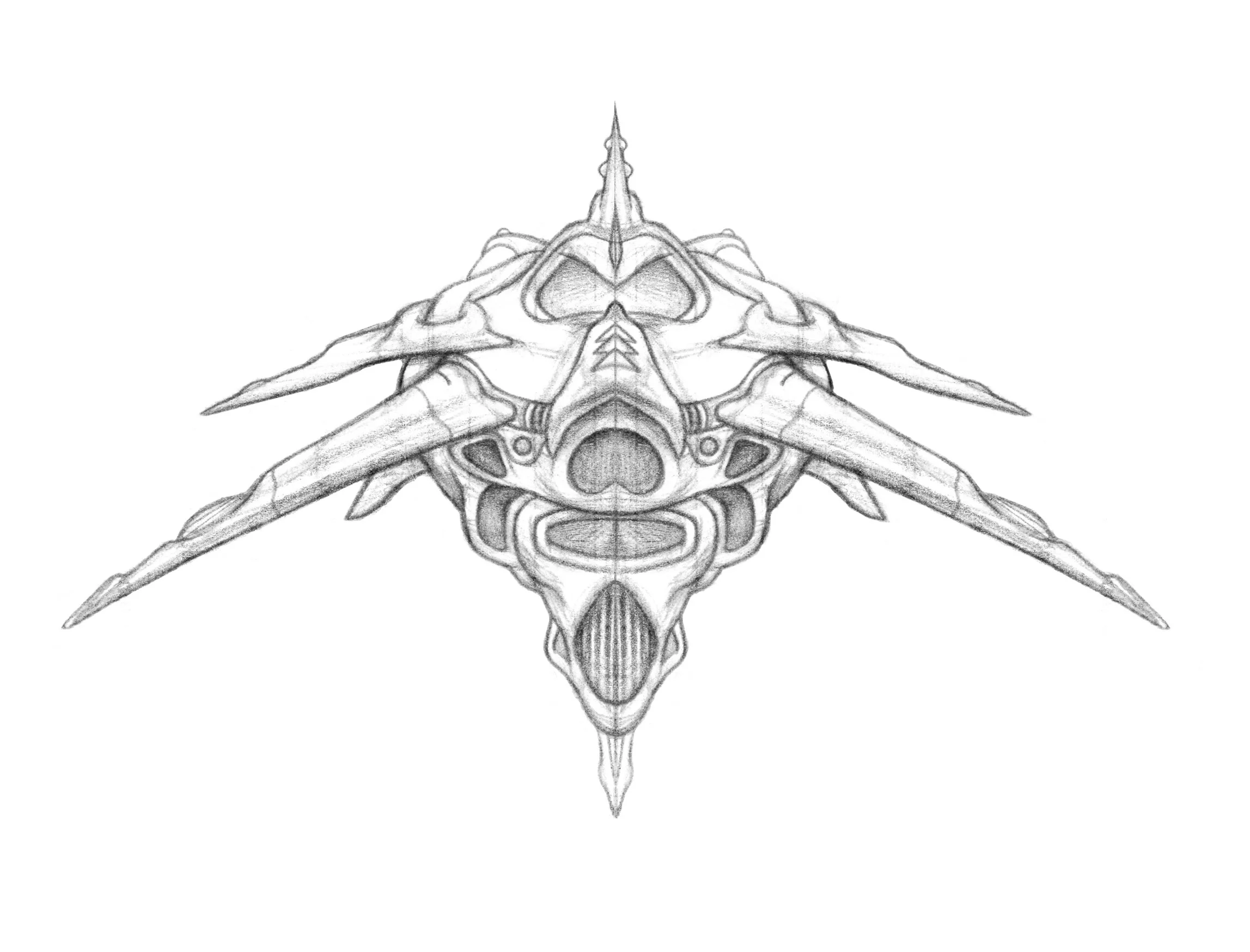 shark orthographic front.jpg