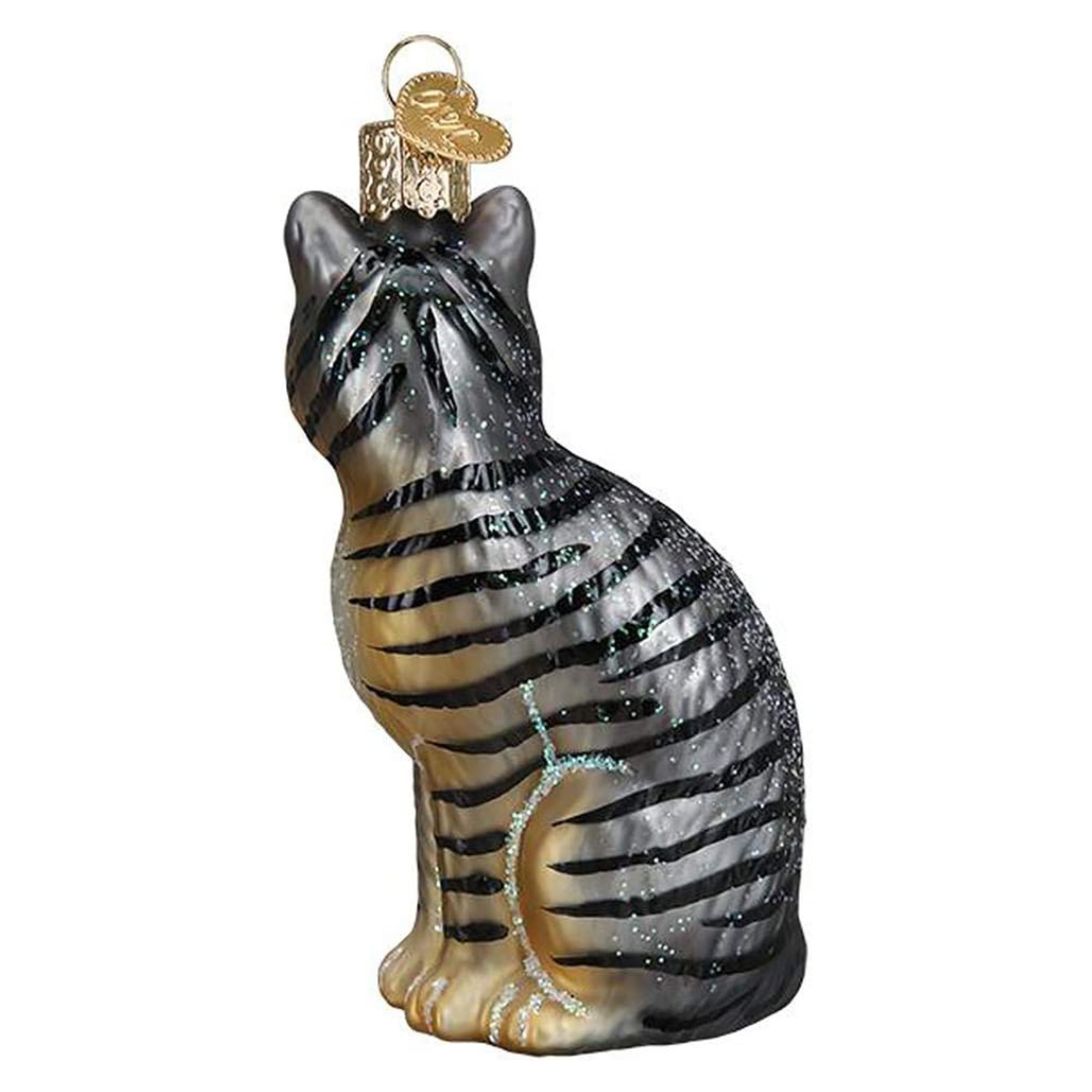 OWC Tabby Cat 2.jpg