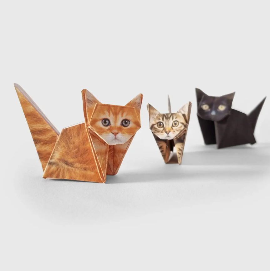 Paper Cats 5.png